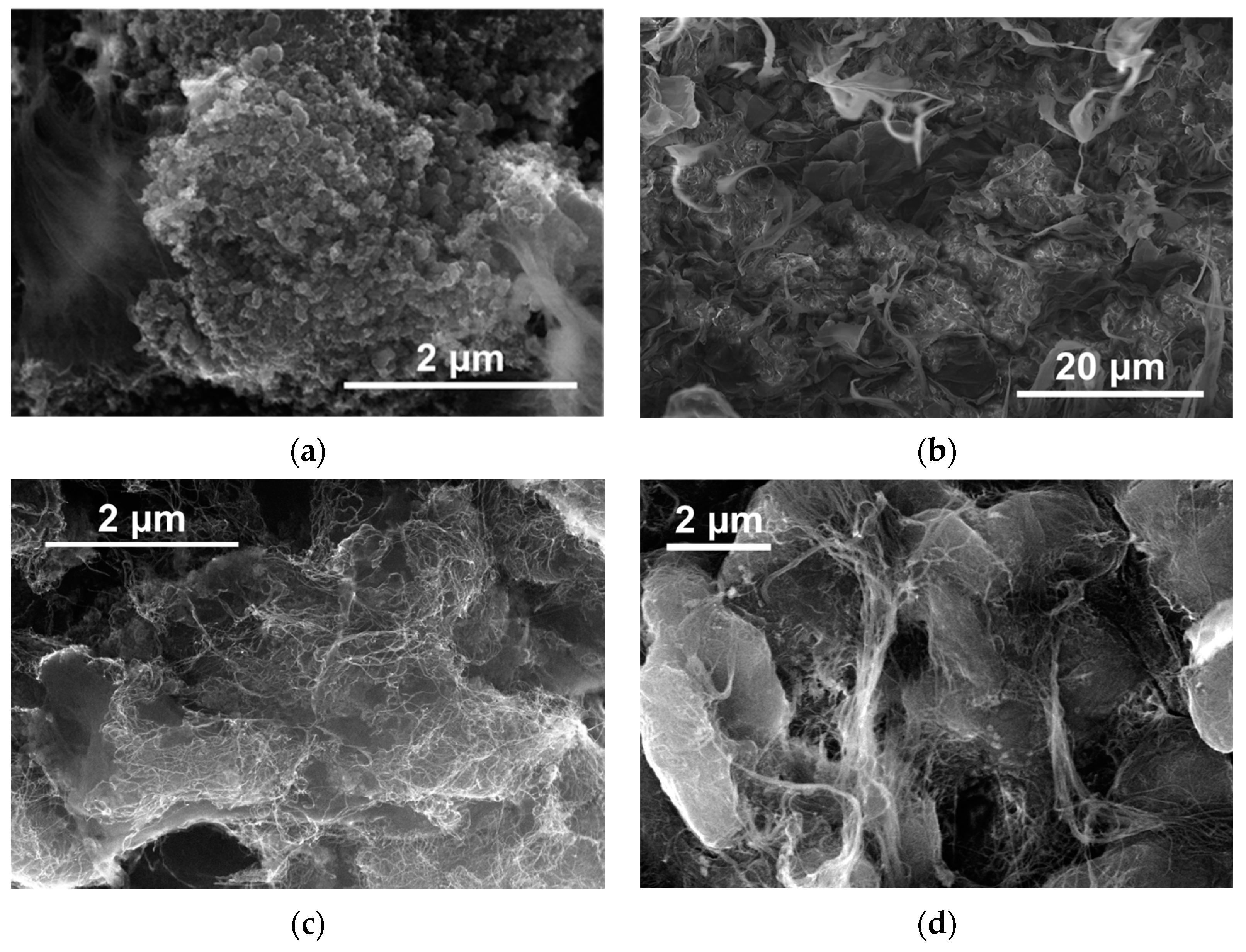 Polymers 16 03423 g007