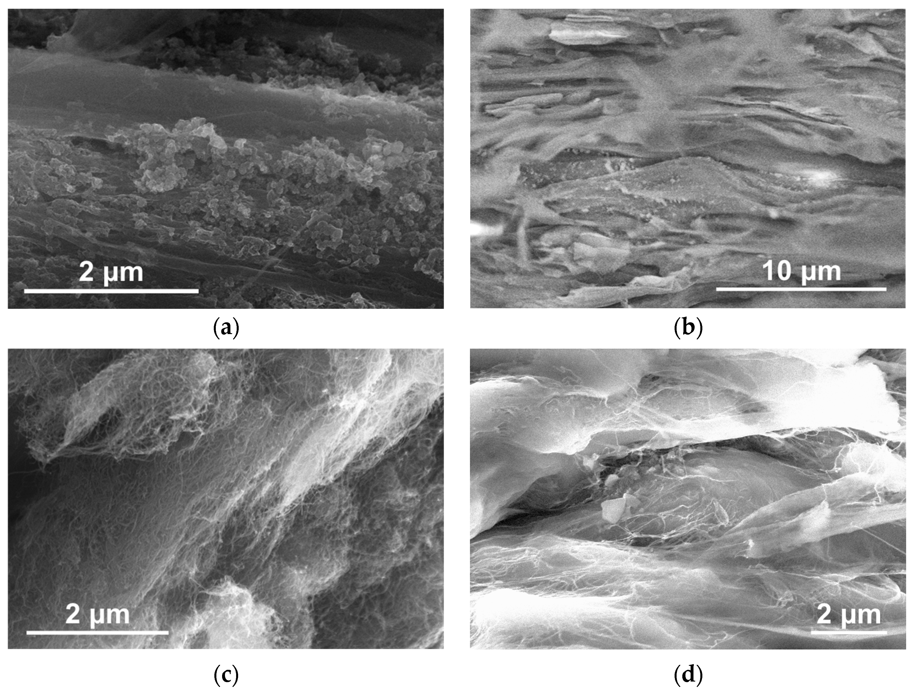 Polymers 16 03423 g011