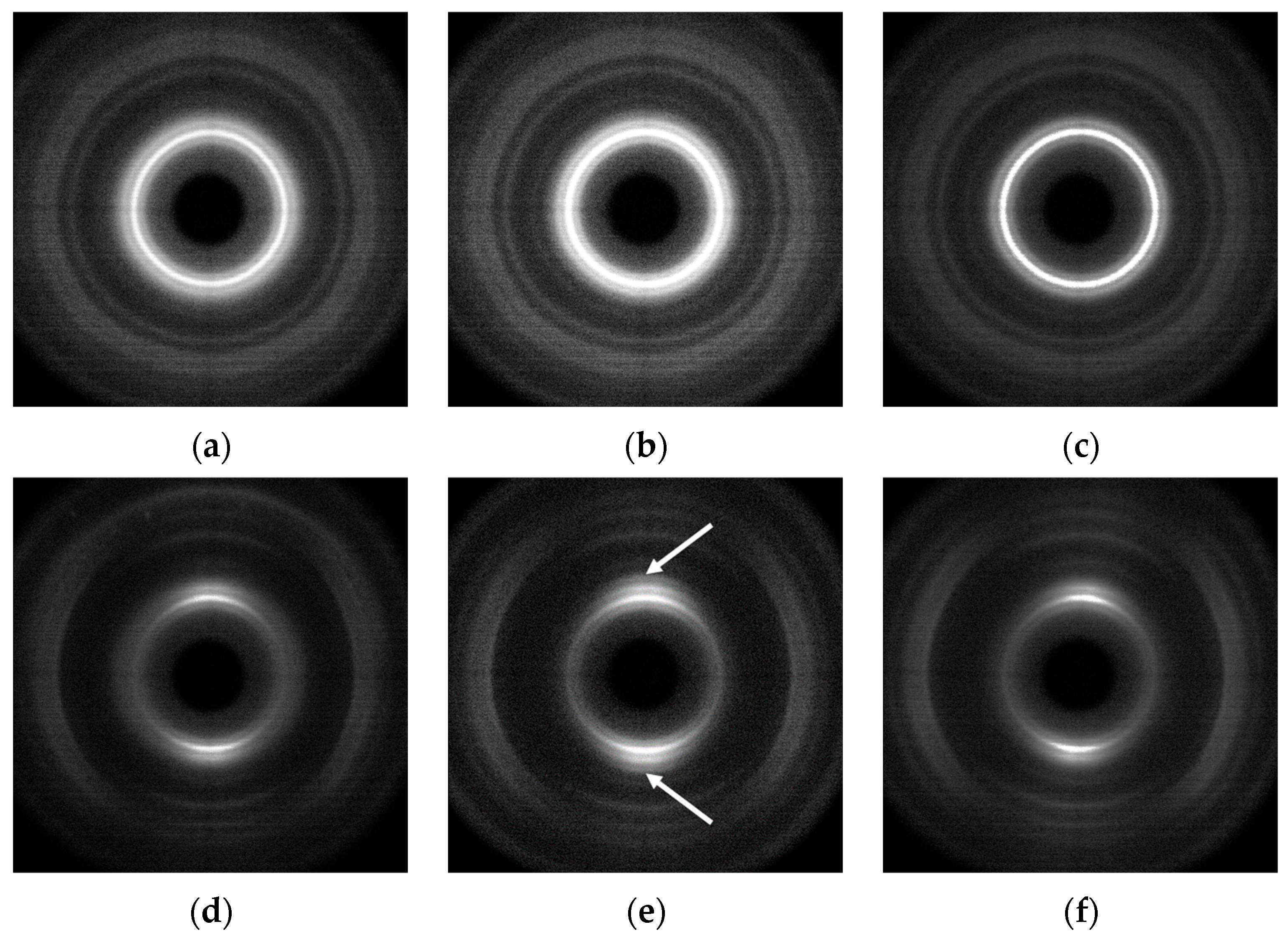 Polymers 16 03423 g014
