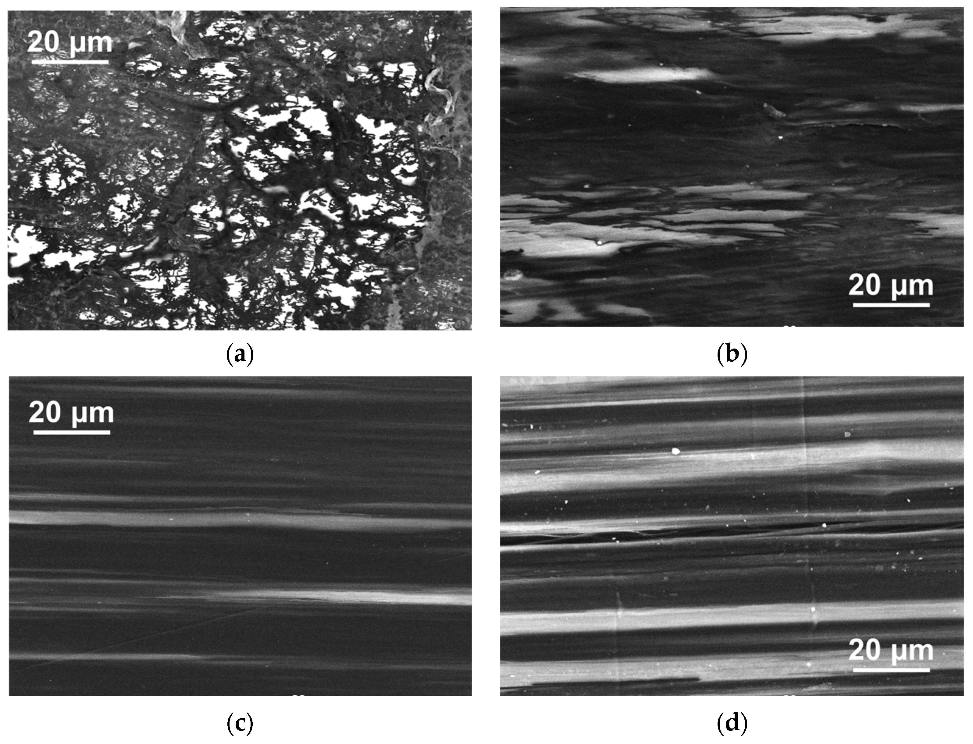 Polymers 16 03423 g018