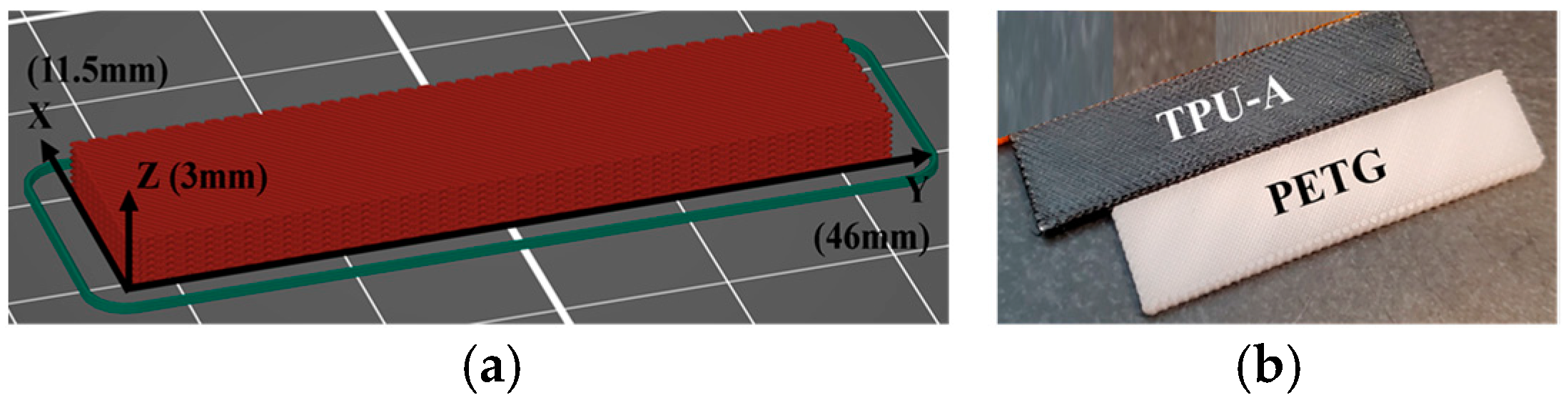 Polymers 16 03428 g001