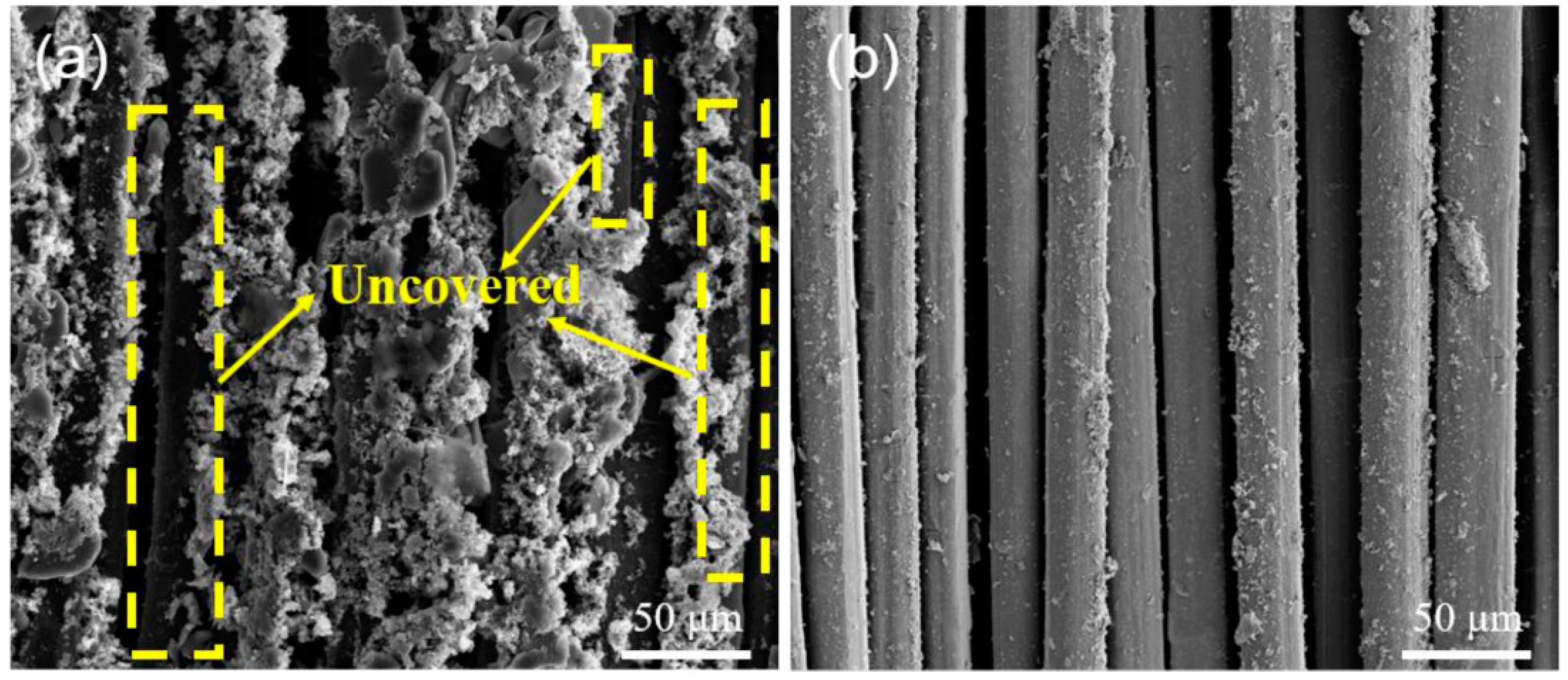 Polymers 16 03431 g005