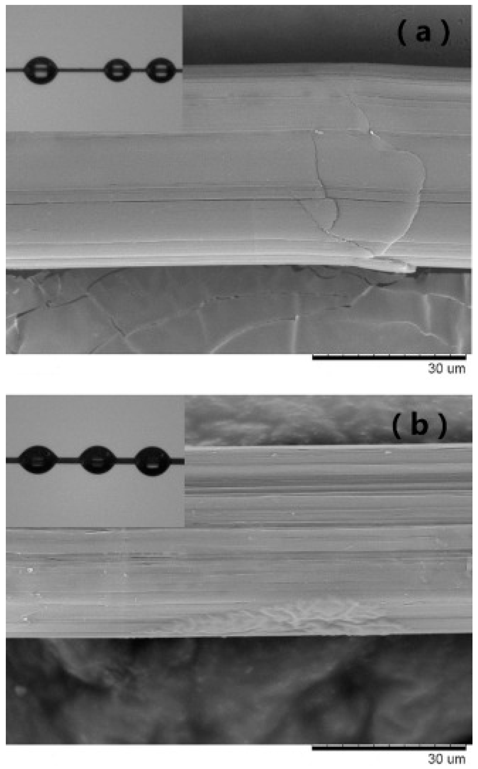 Polymers 16 03431 g009