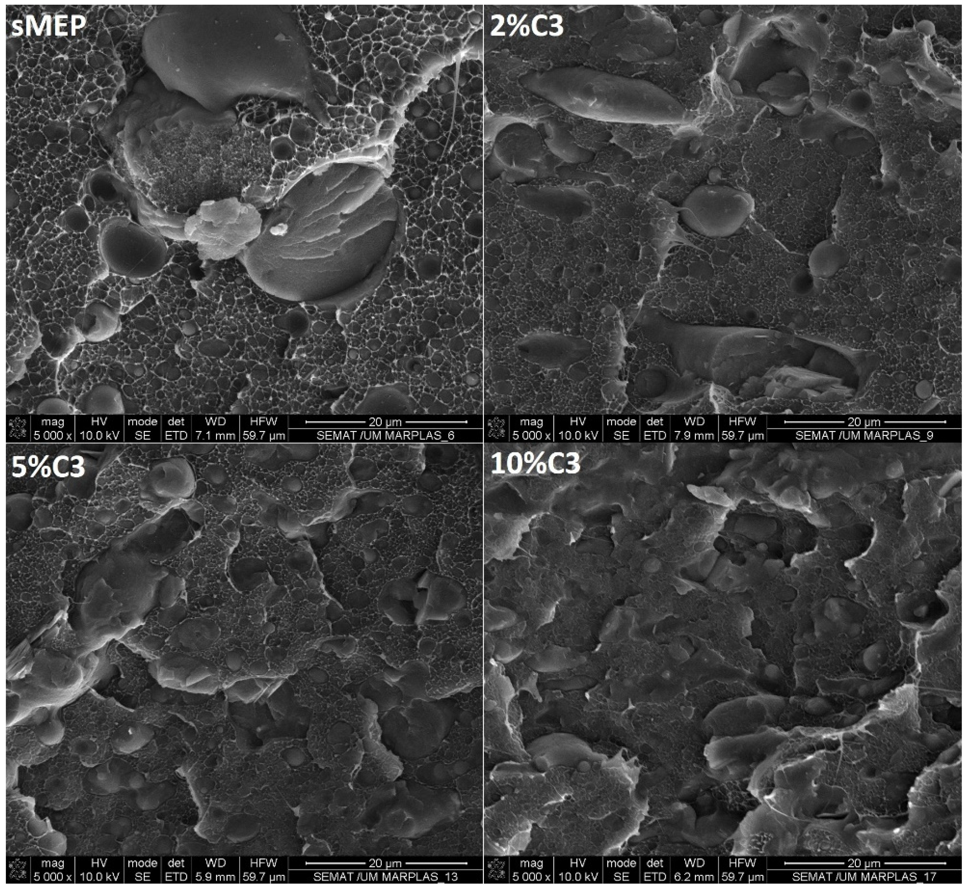Polymers 16 03441 g002