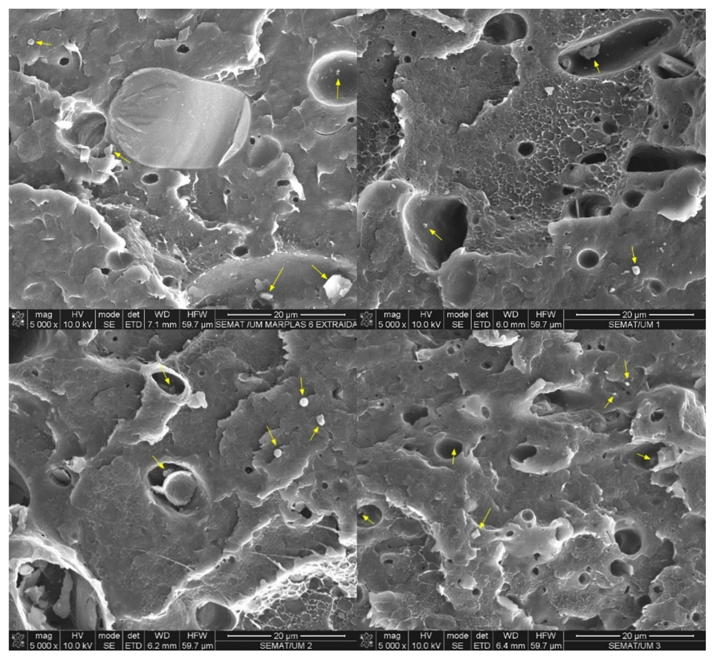 Polymers 16 03441 g005