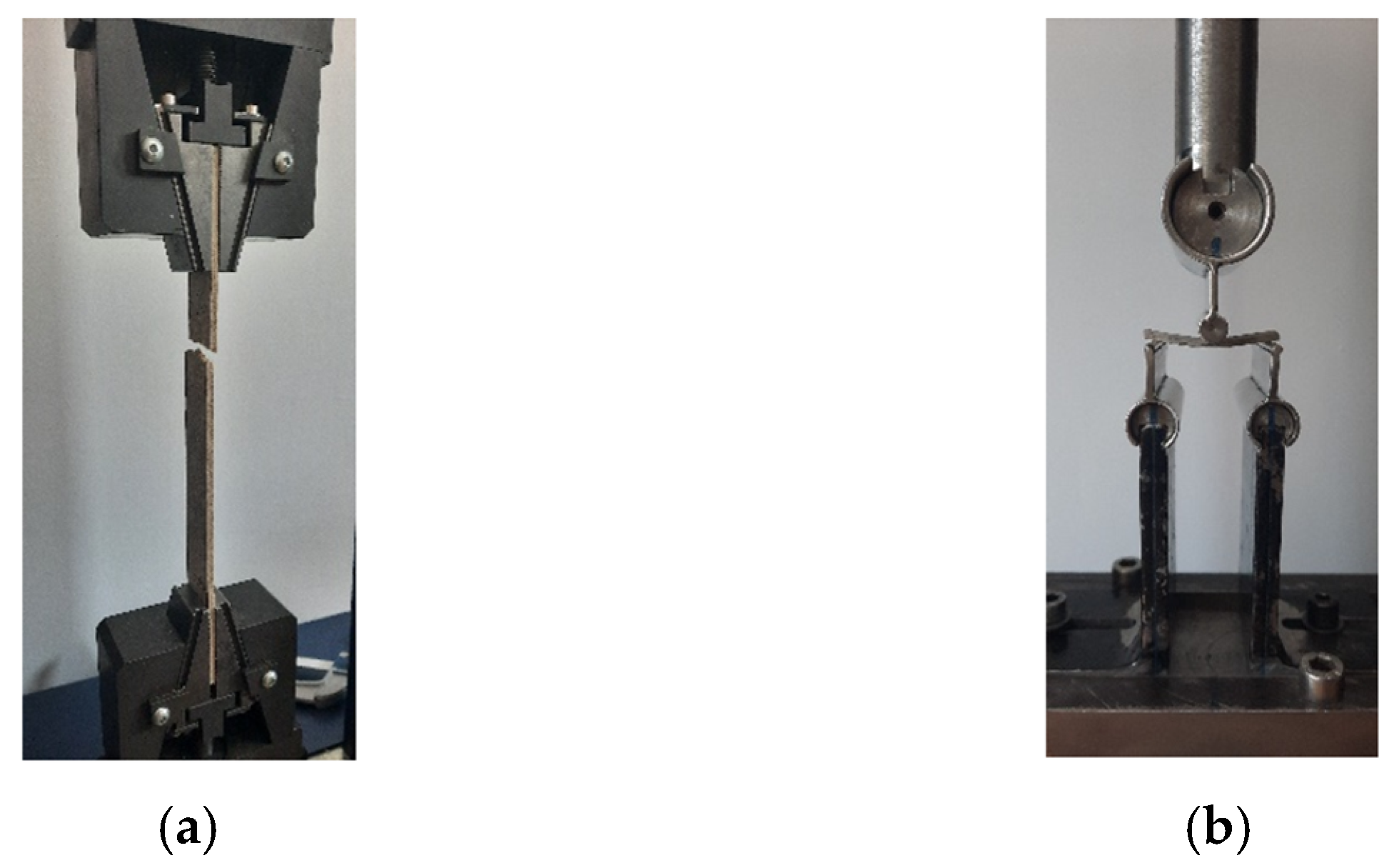 Polymers 16 03442 g002