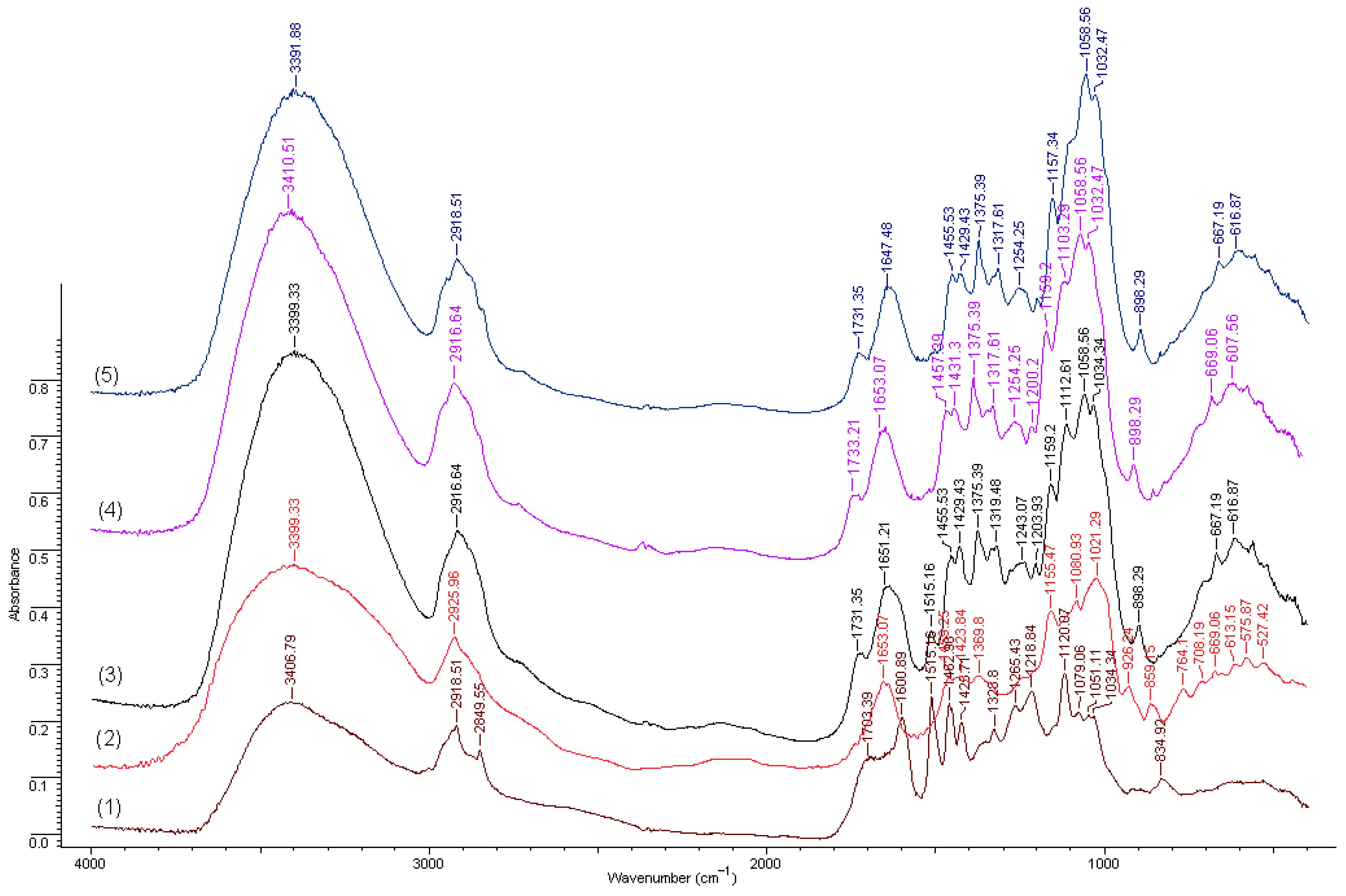 Polymers 16 03442 g003