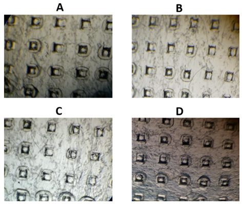 Polymers 16 03445 i001