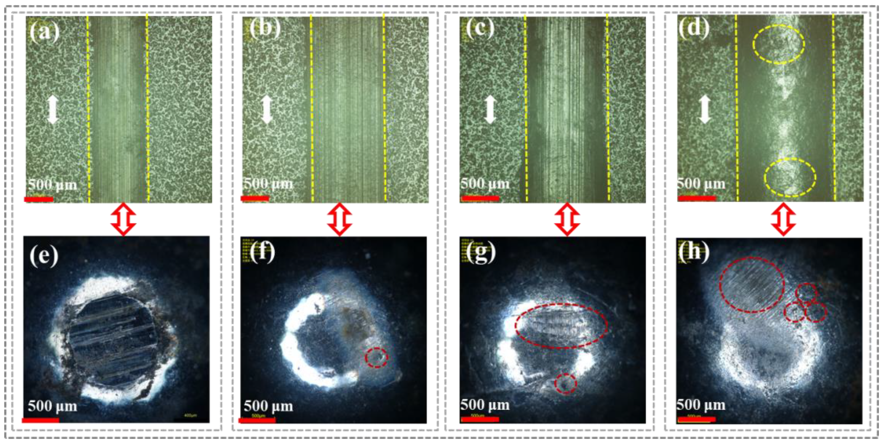 Polymers 16 03446 g004
