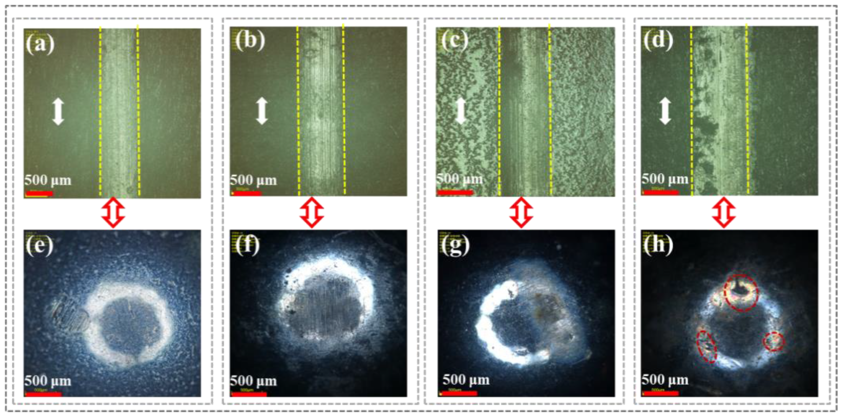 Polymers 16 03446 g005