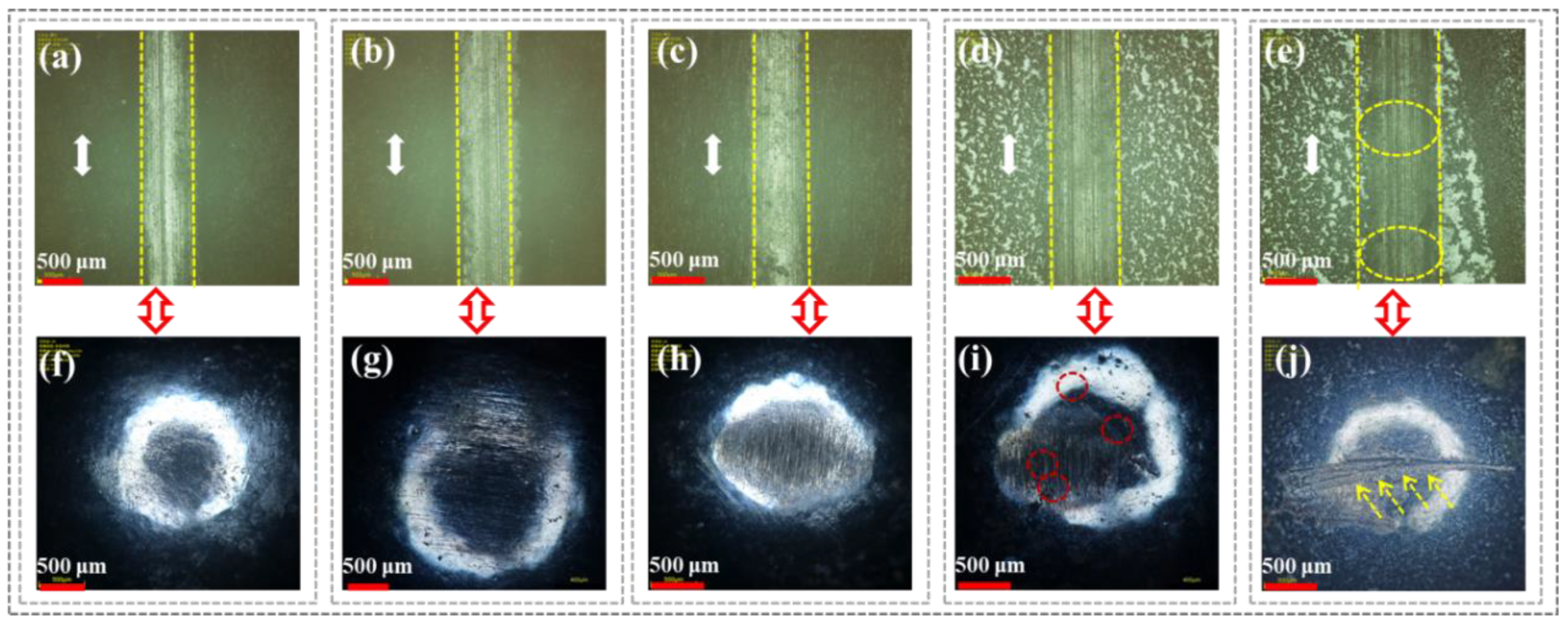 Polymers 16 03446 g006