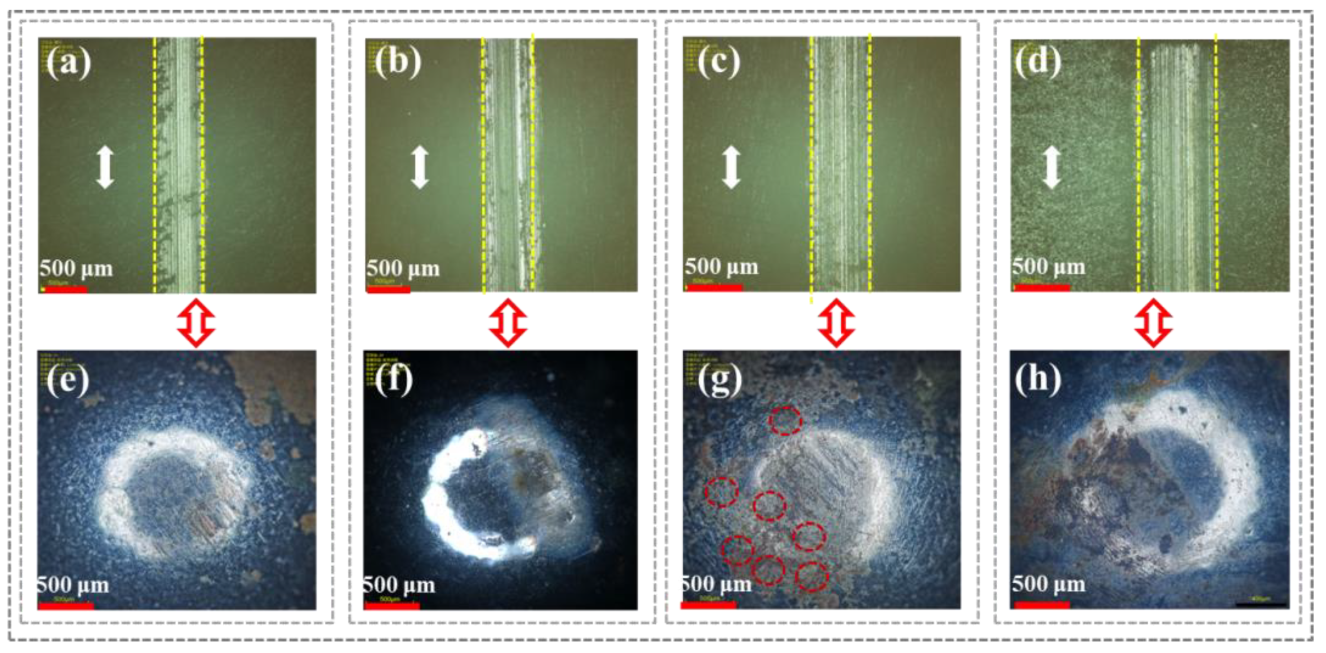 Polymers 16 03446 g007