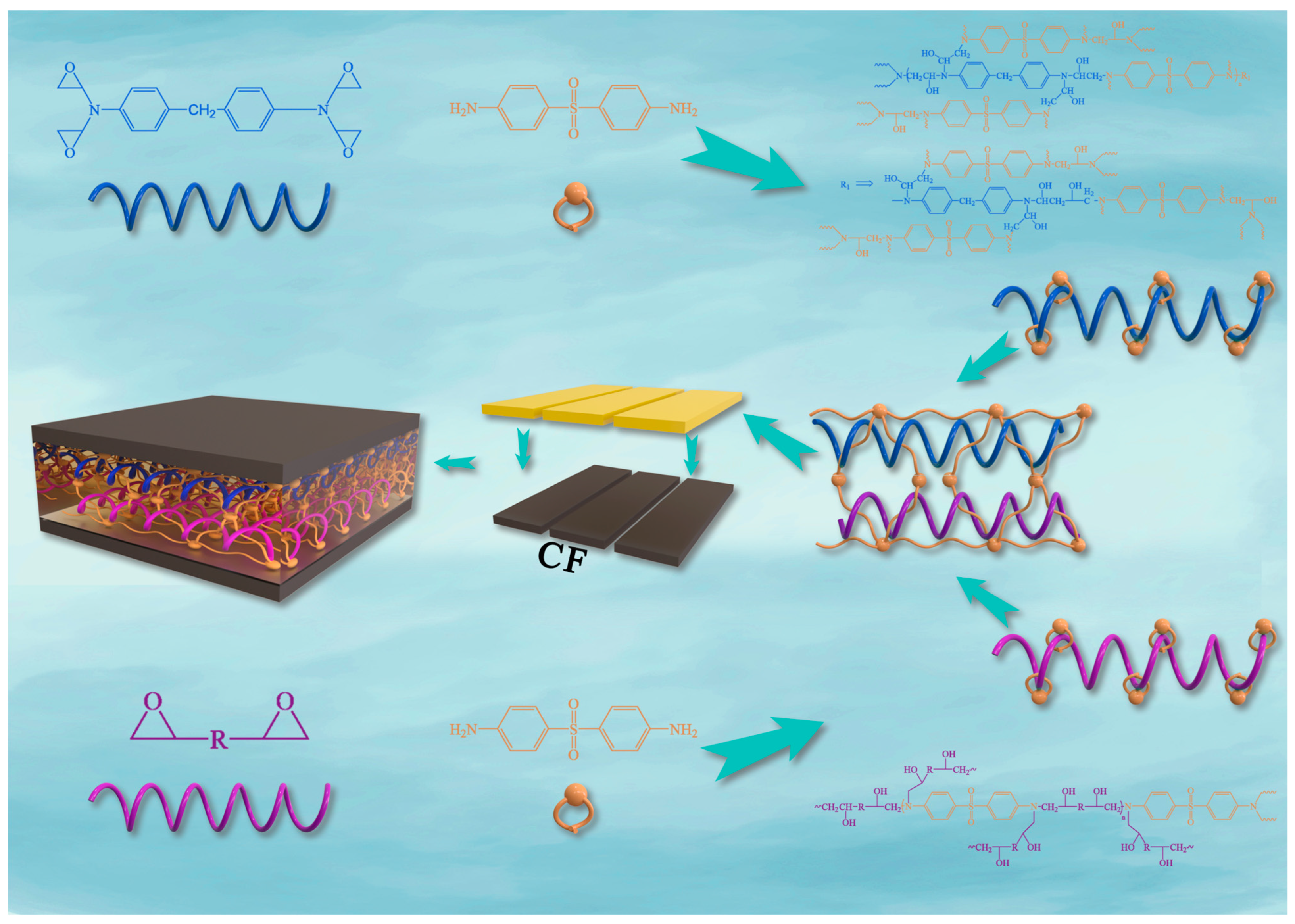 Polymers 16 03447 g001