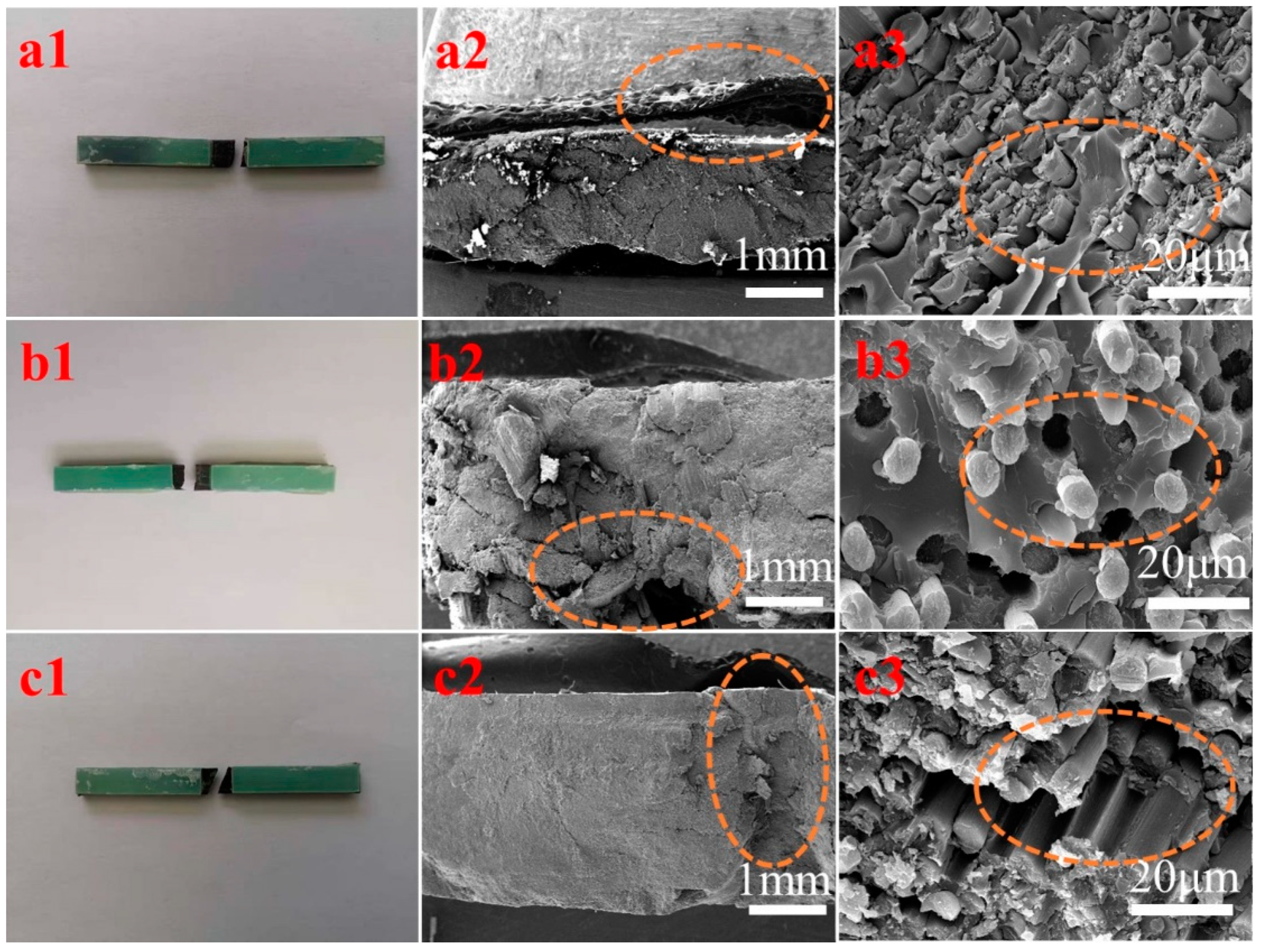 Polymers 16 03447 g008