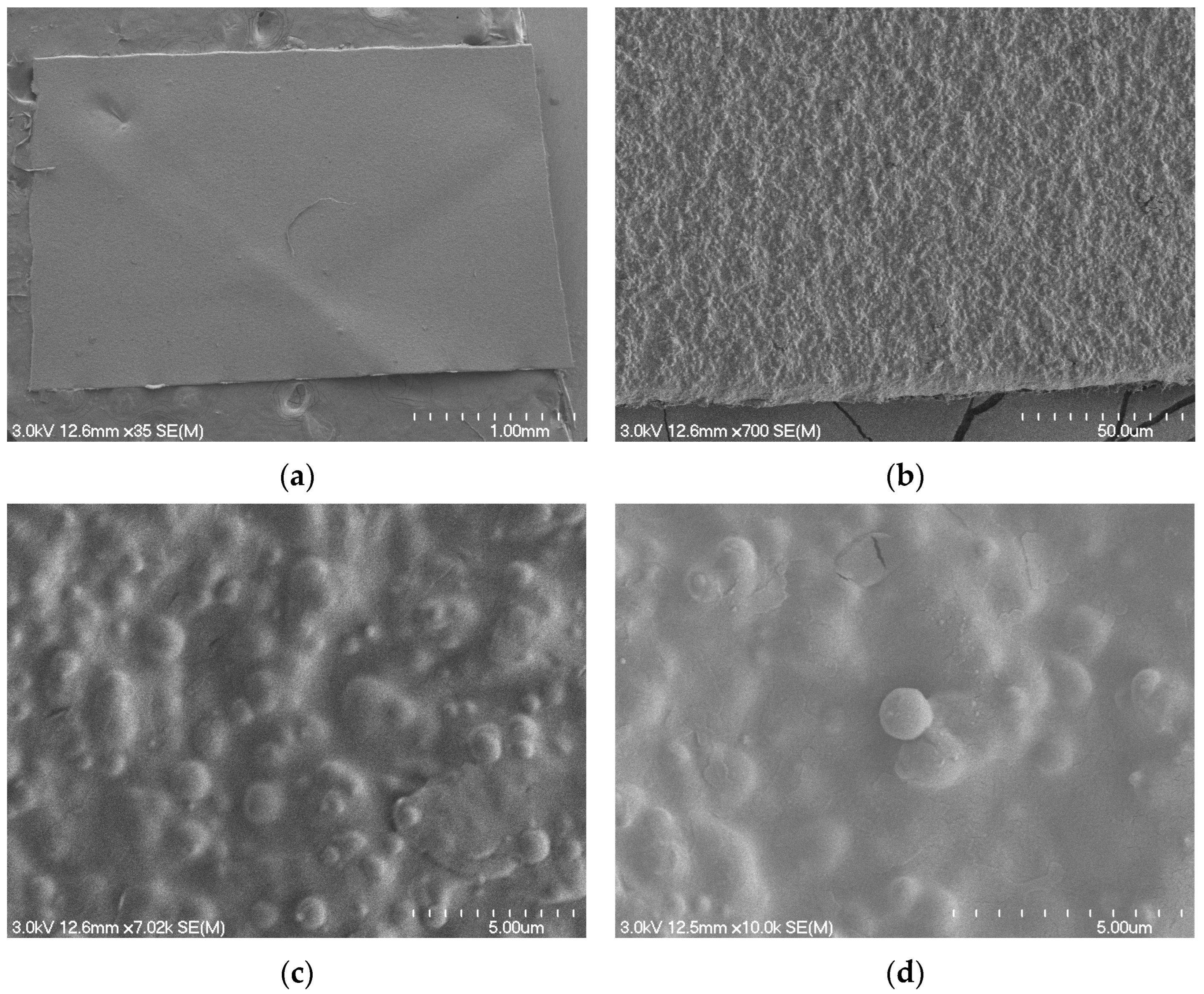 Polymers 16 03450 g008 Polymers 16 03450 g008