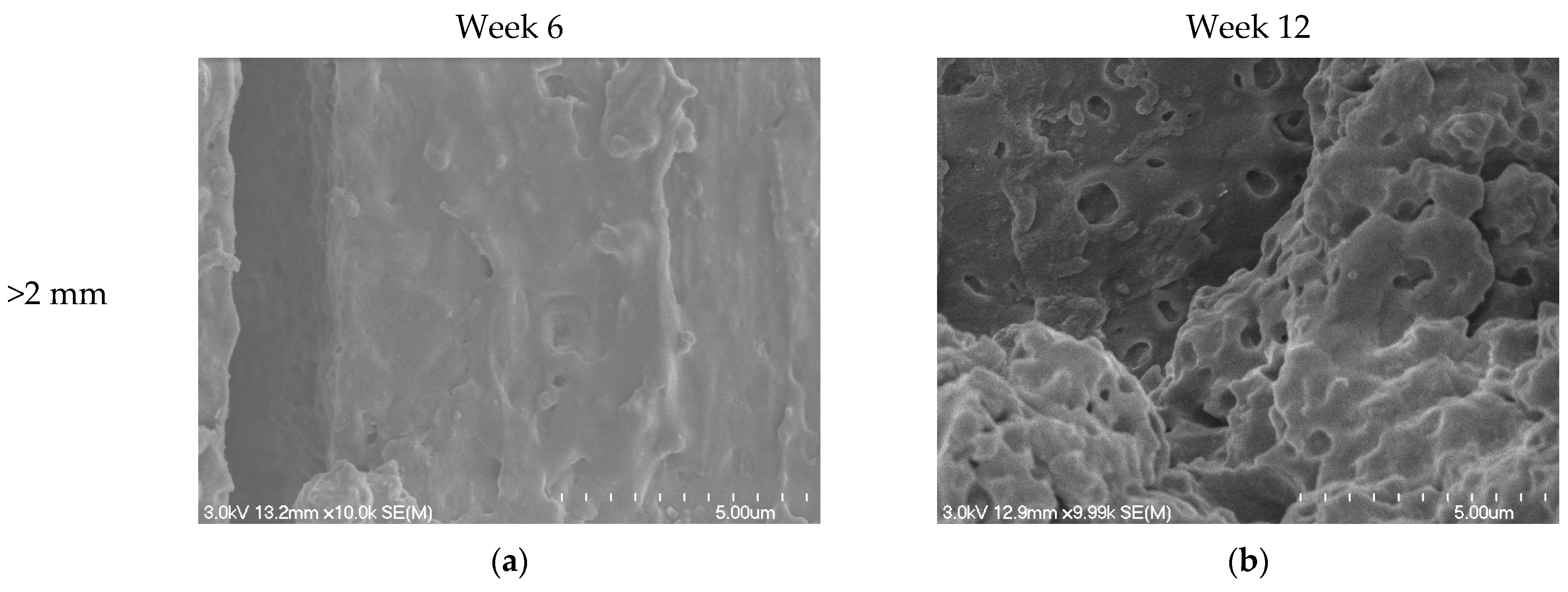 Polymers 16 03450 g009a Polymers 16 03450 g009a