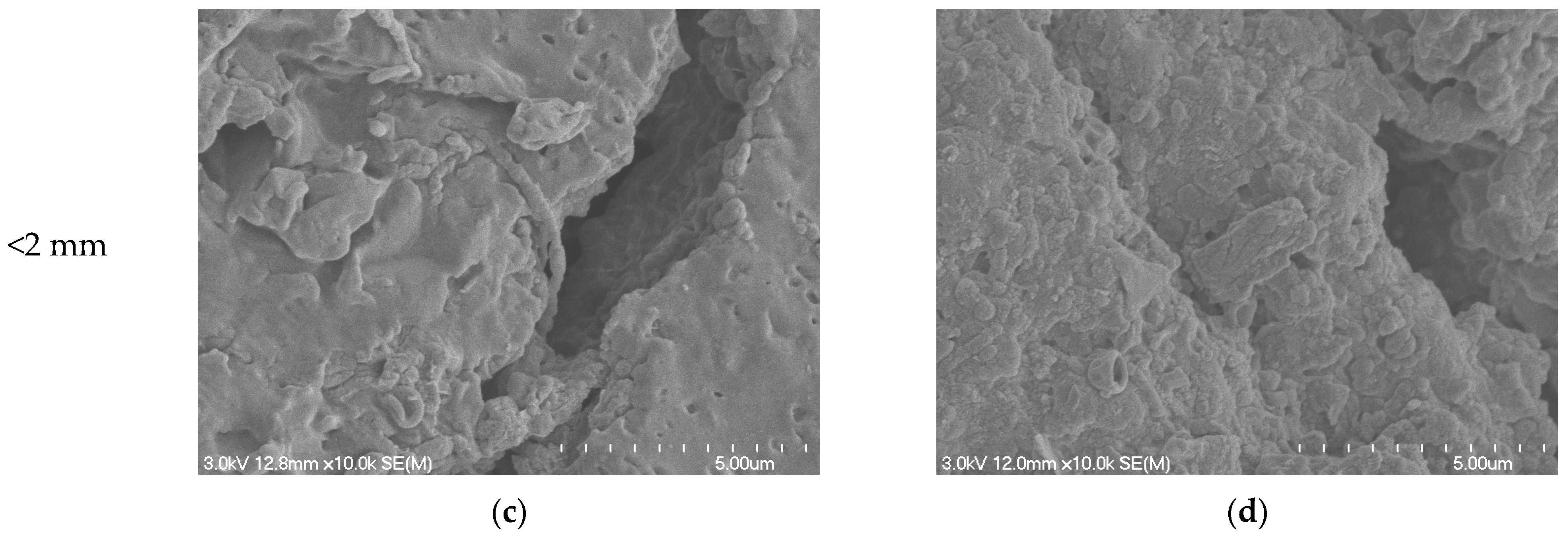 Polymers 16 03450 g009b Polymers 16 03450 g009b