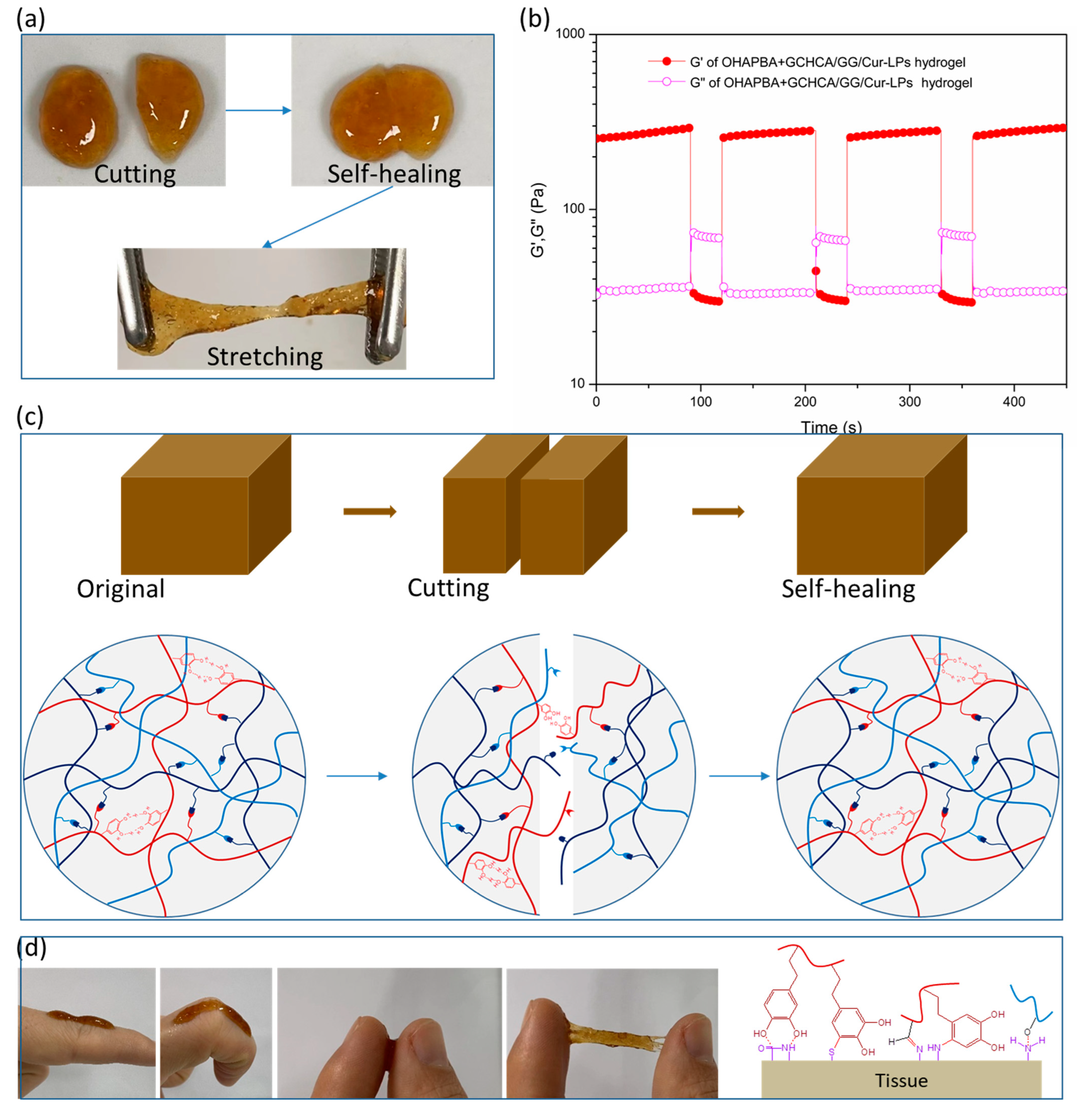 Polymers 16 03451 g005