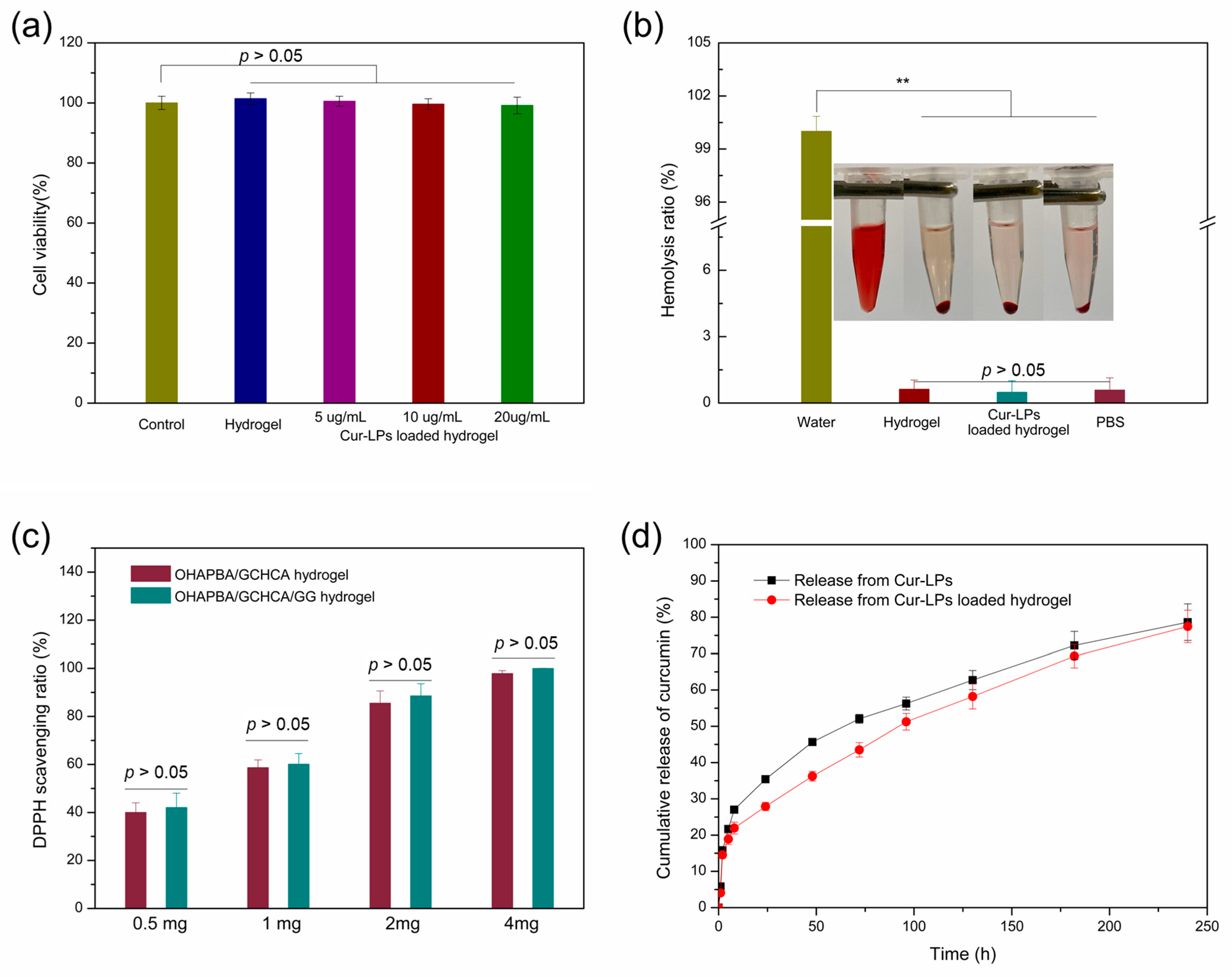 Polymers 16 03451 g006