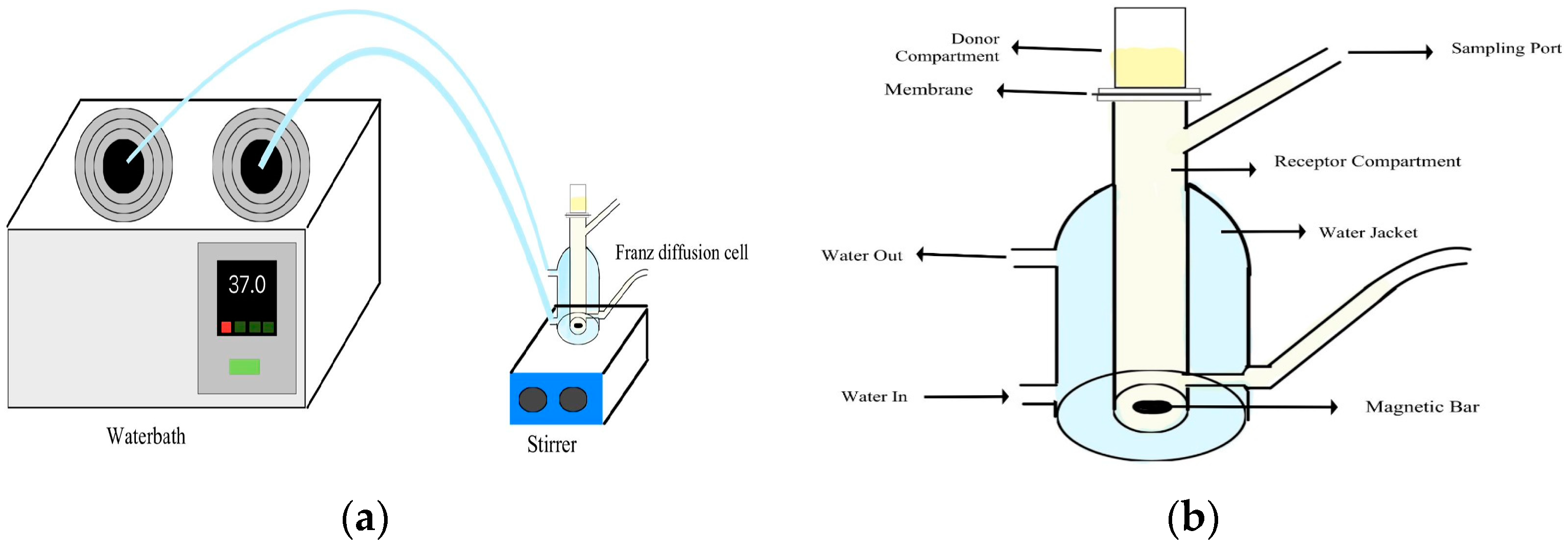 Polymers 16 03456 g001