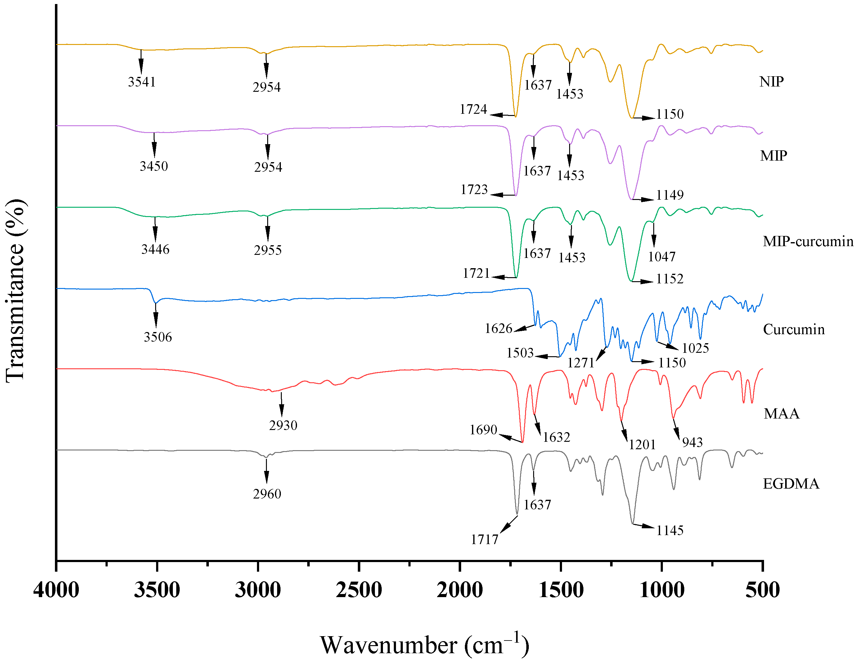 Polymers 16 03456 g005