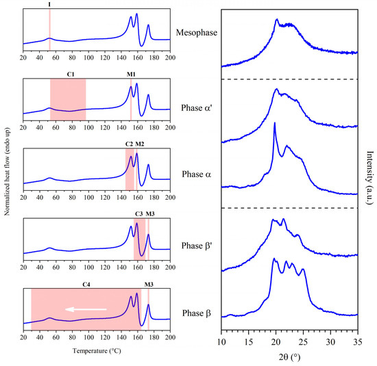Polymers 16 03459 g007