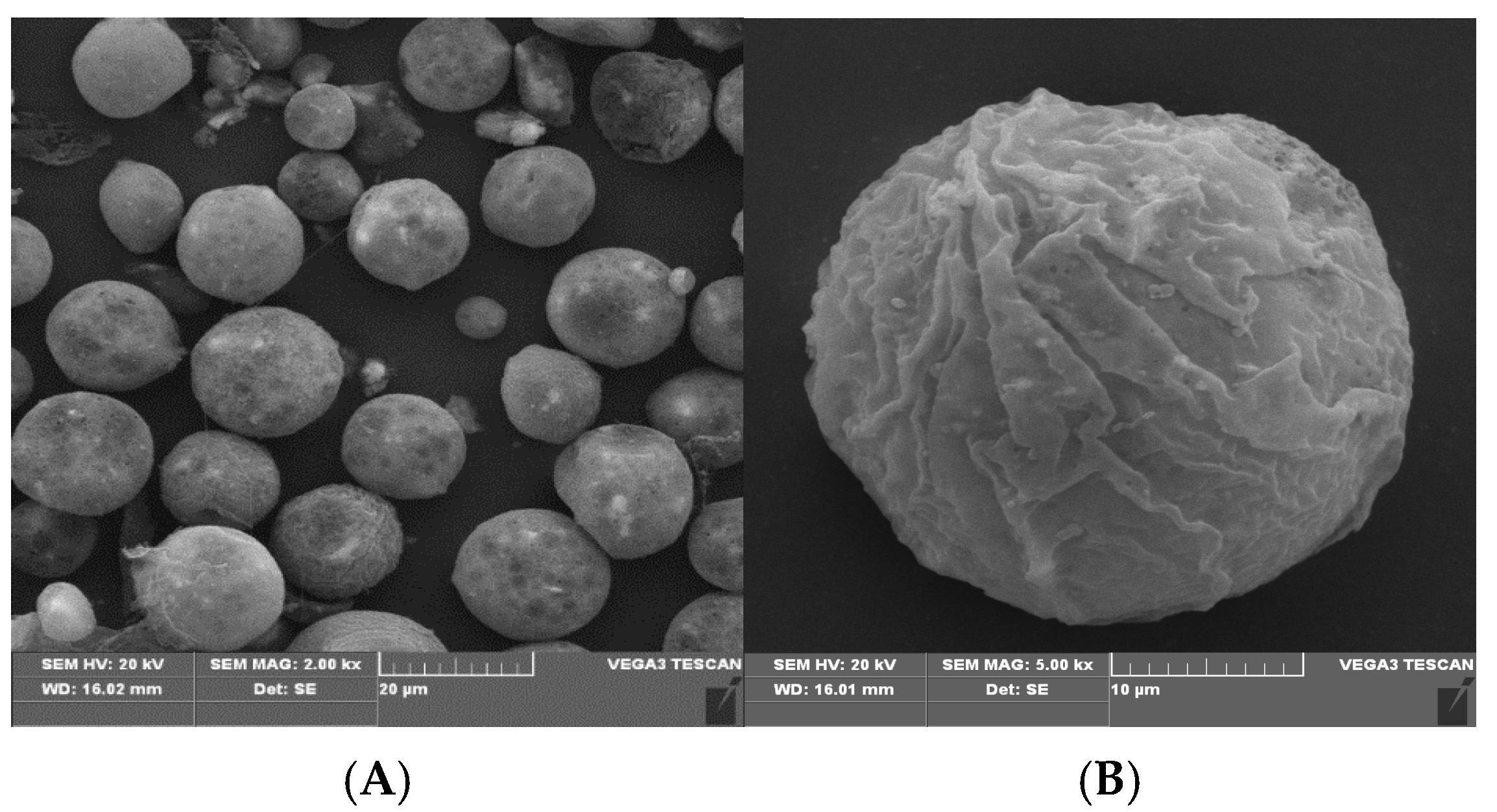 Polymers 16 03460 g004 Polymers 16 03460 g004