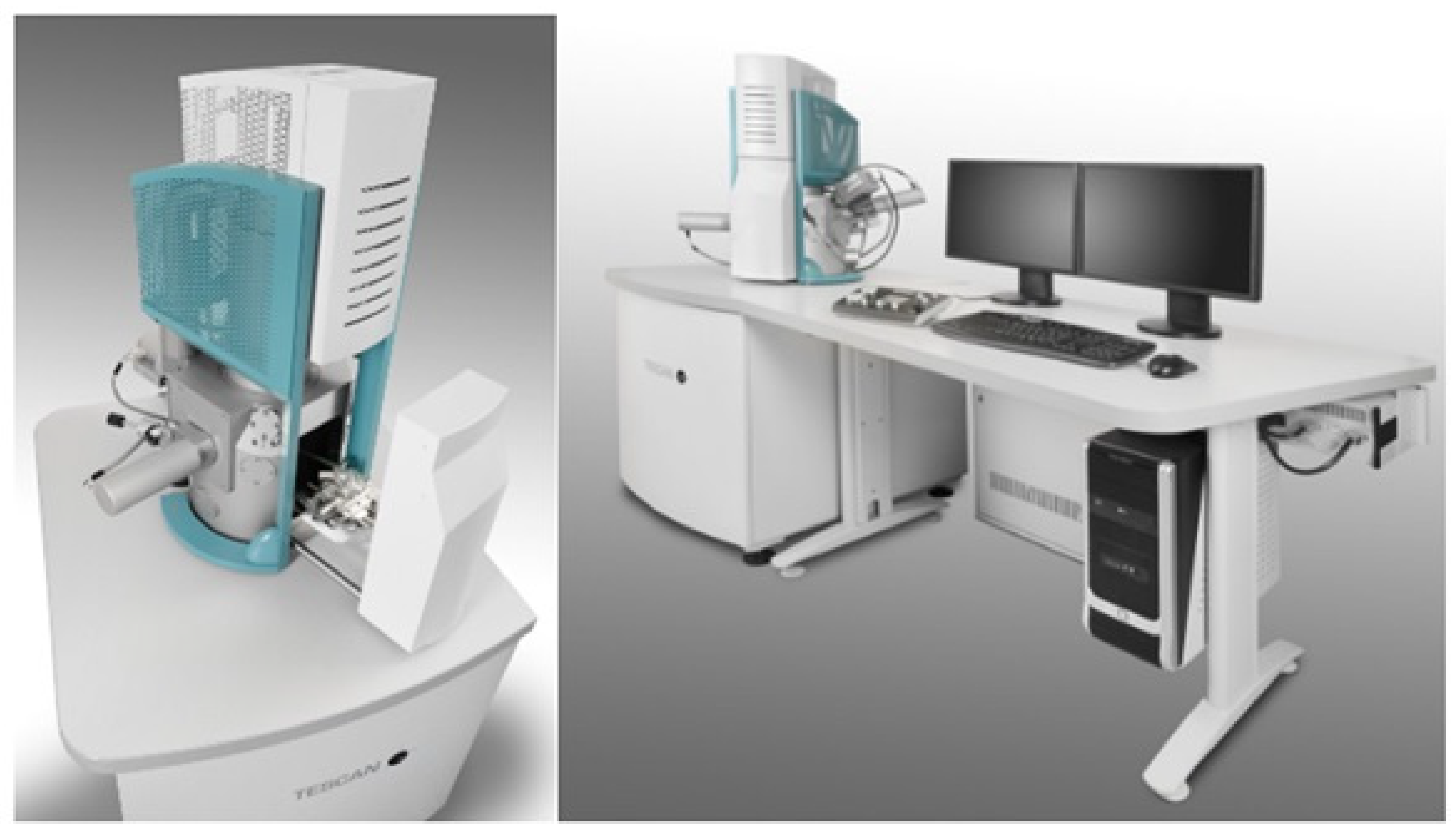 Polymers 16 03478 g005