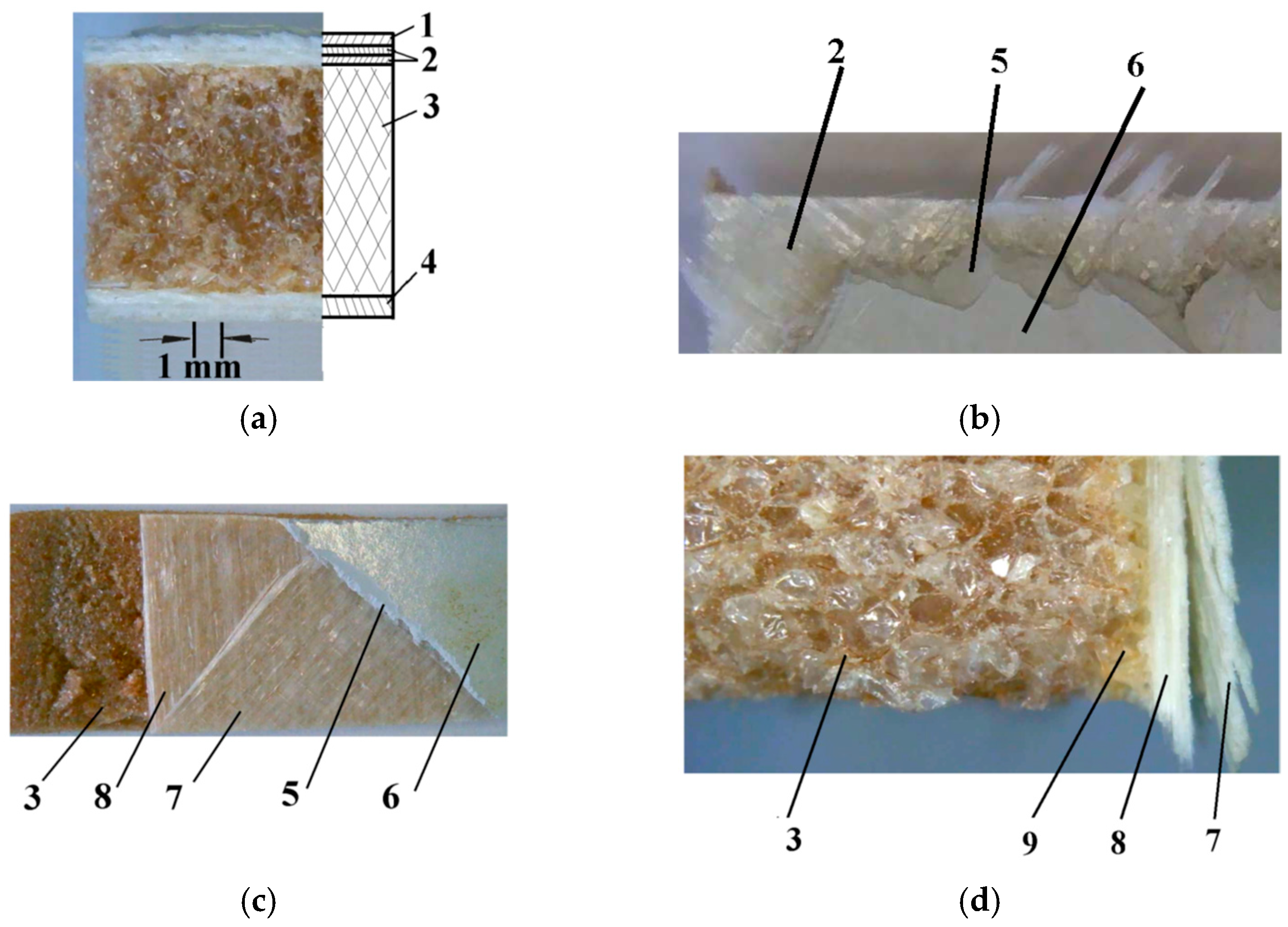 Polymers 16 03483 g001