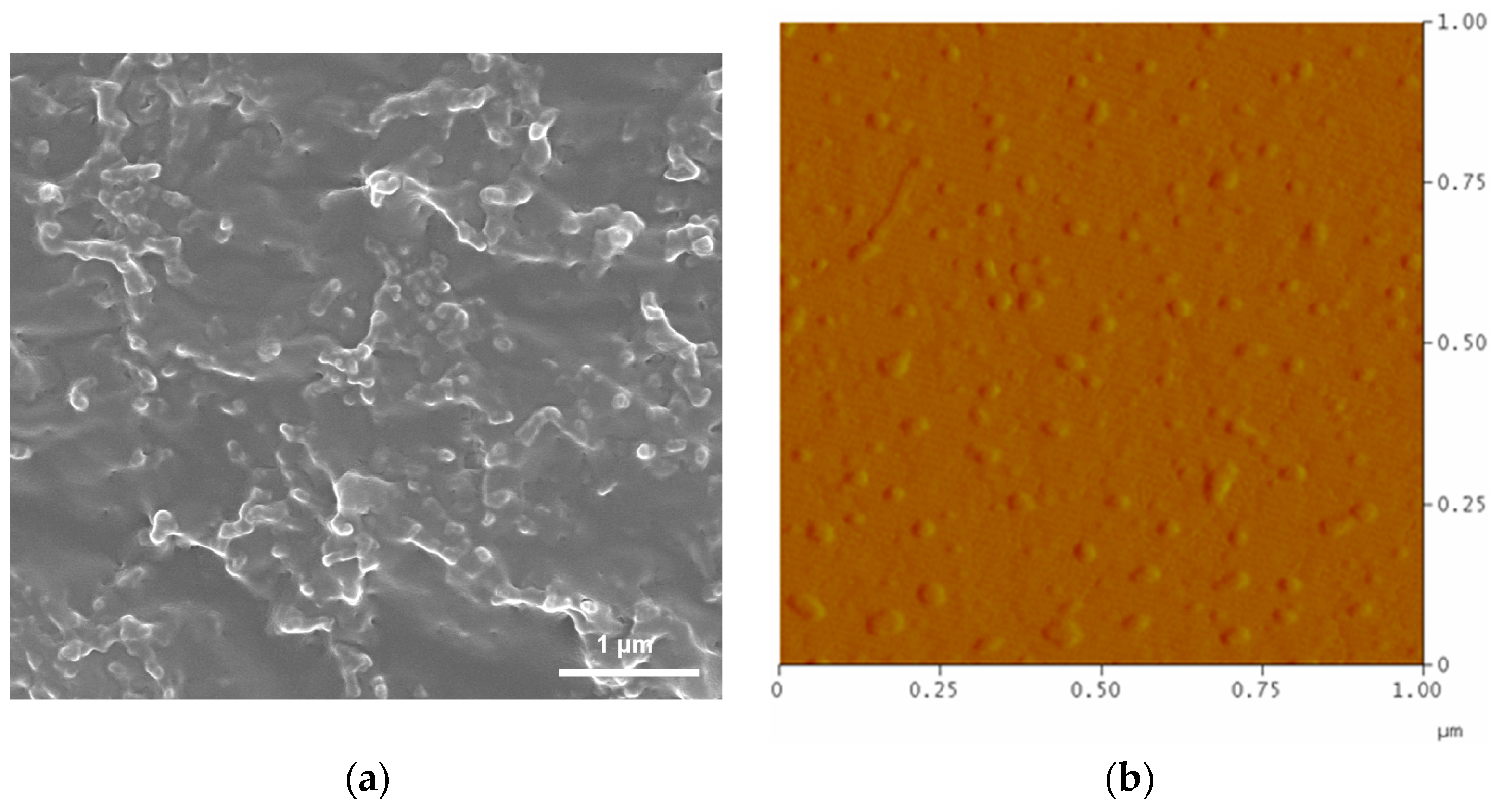 Polymers 16 03485 g002