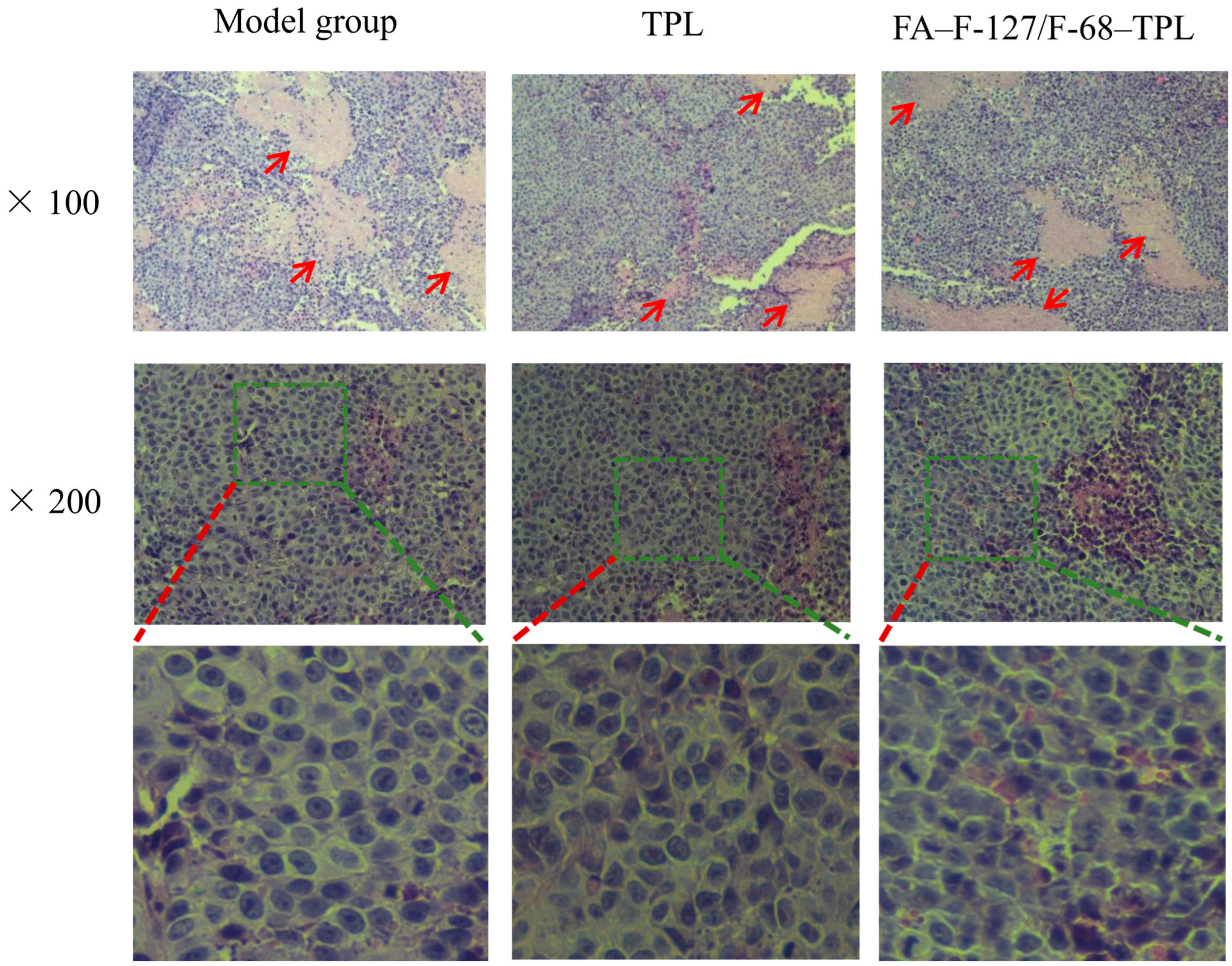 Polymers 16 03485 g008