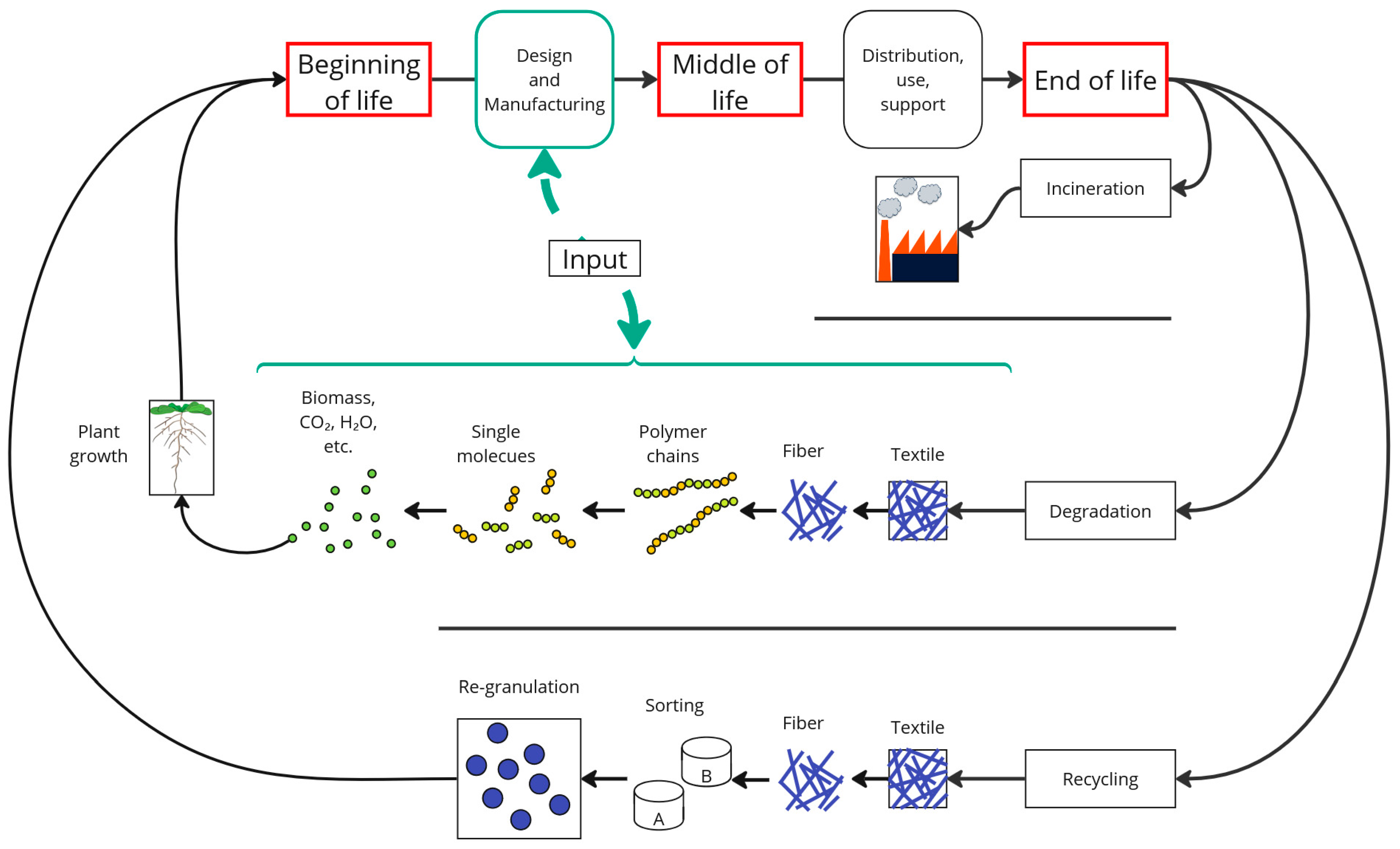 Polymers 16 03498 g004