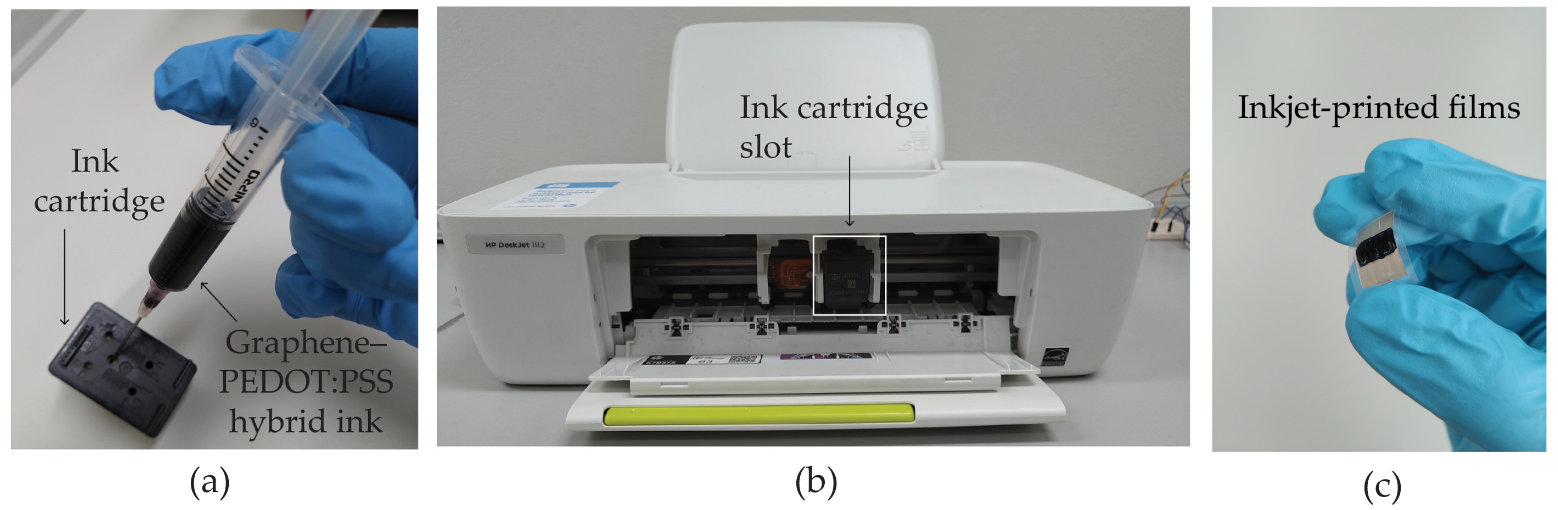 Polymers 16 03521 g001