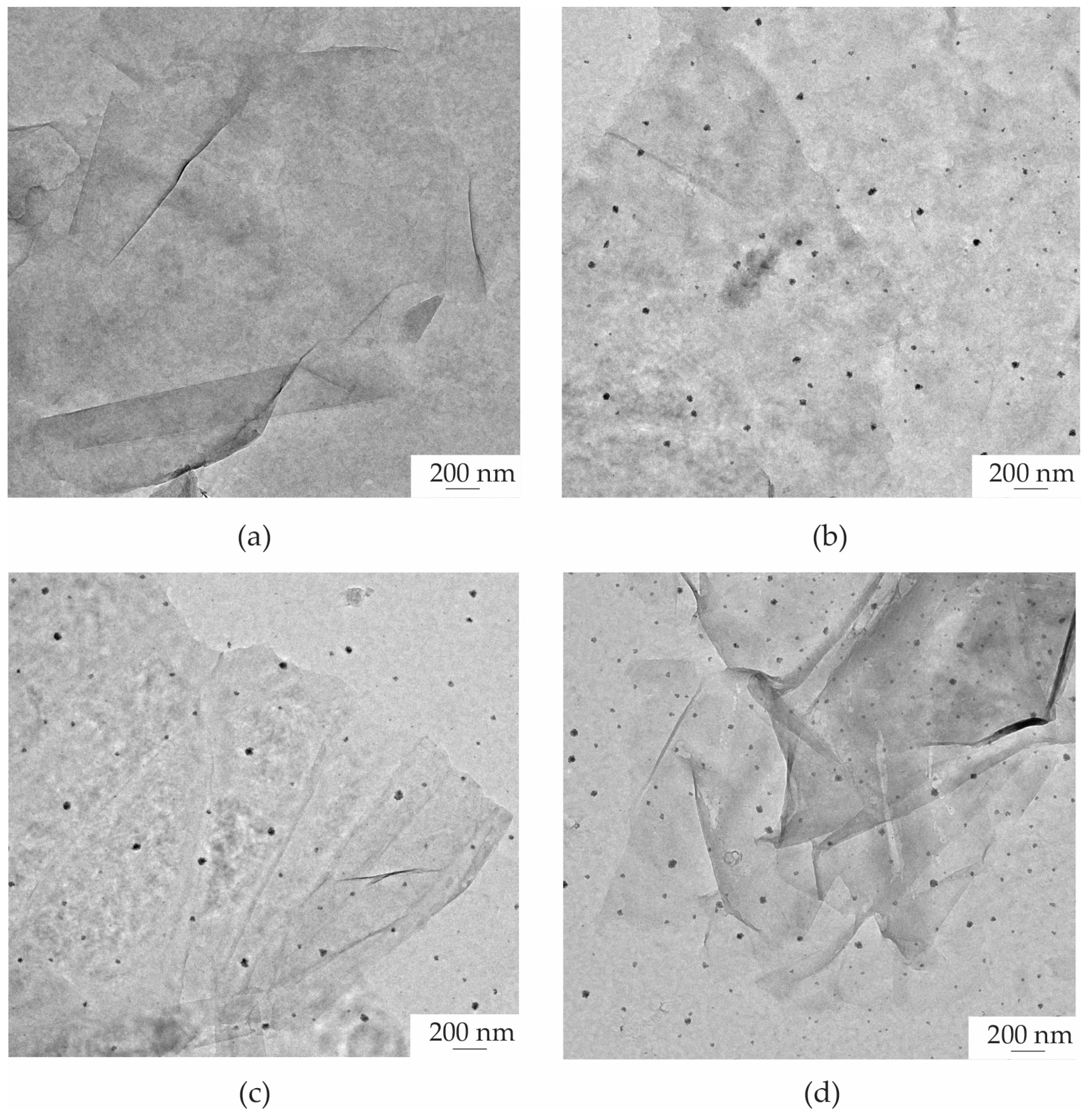 Polymers 16 03521 g004