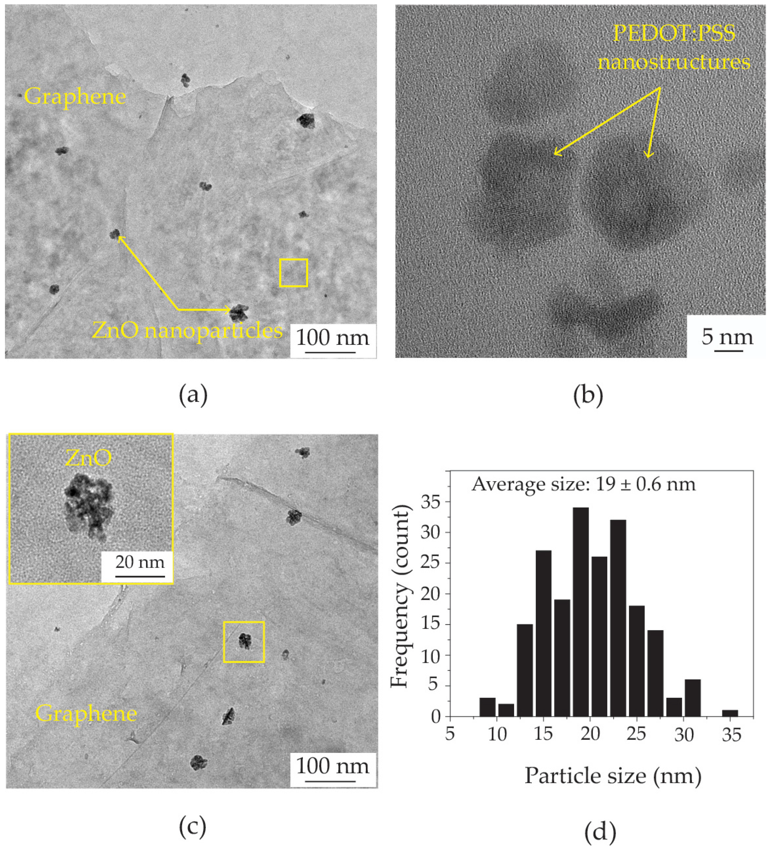 Polymers 16 03521 g005
