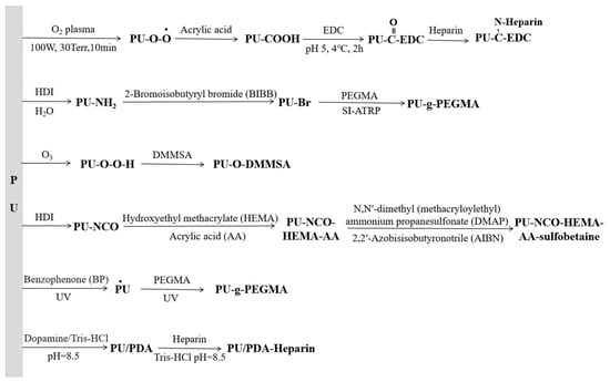 Polymers 16 03528 g006