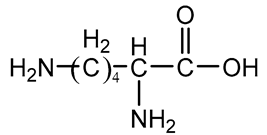 Polymers 16 03528 i021