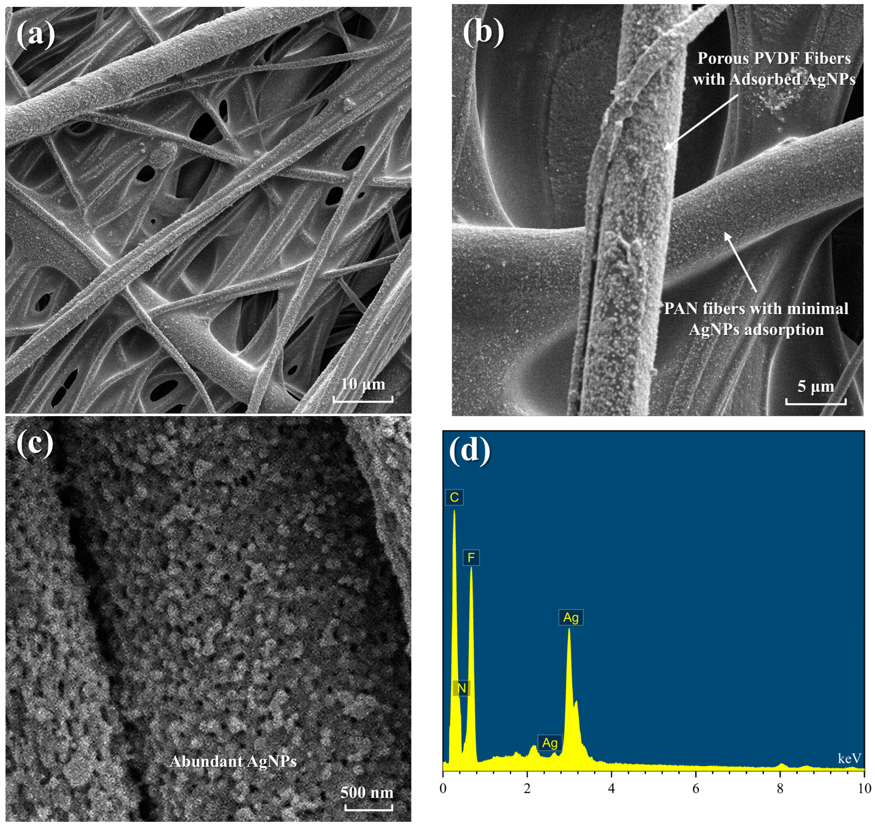 Polymers 16 03540 g005