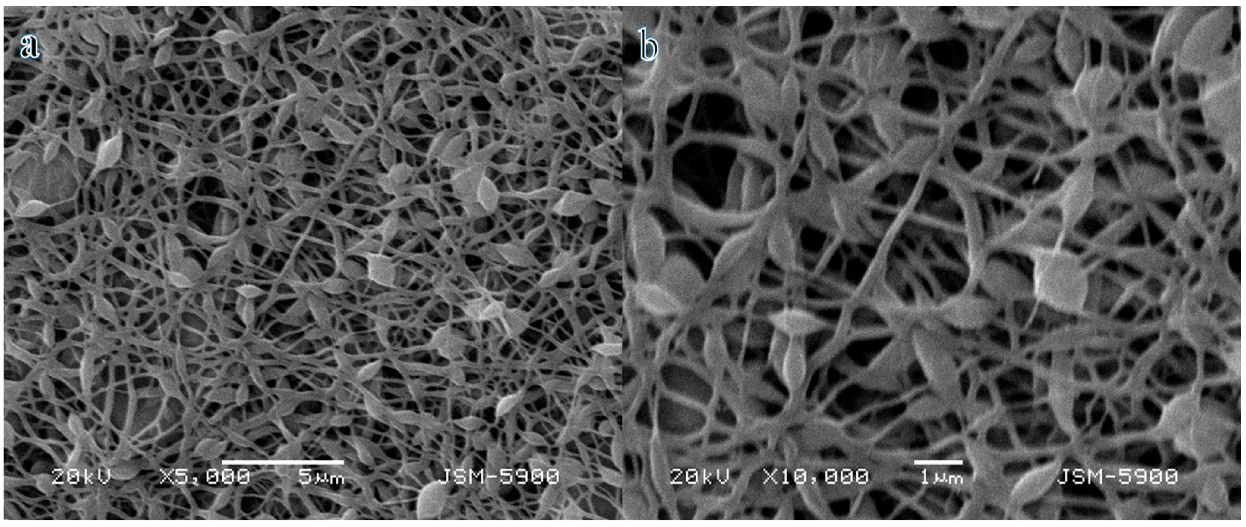 Polymers 16 03541 g001