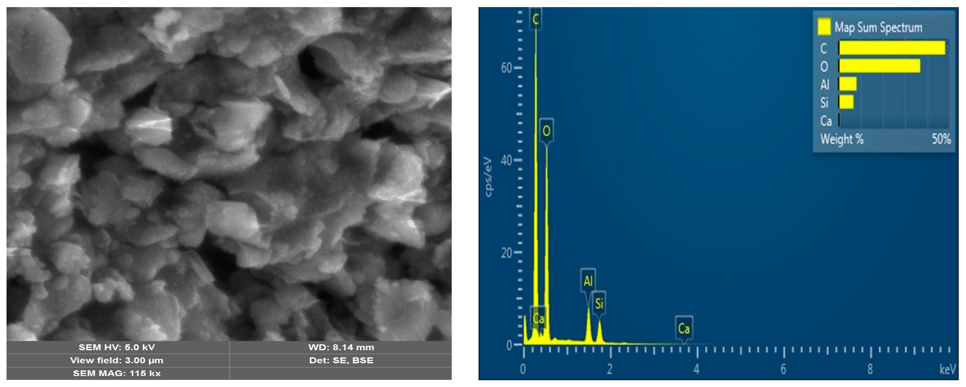 Polymers 16 03545 g005