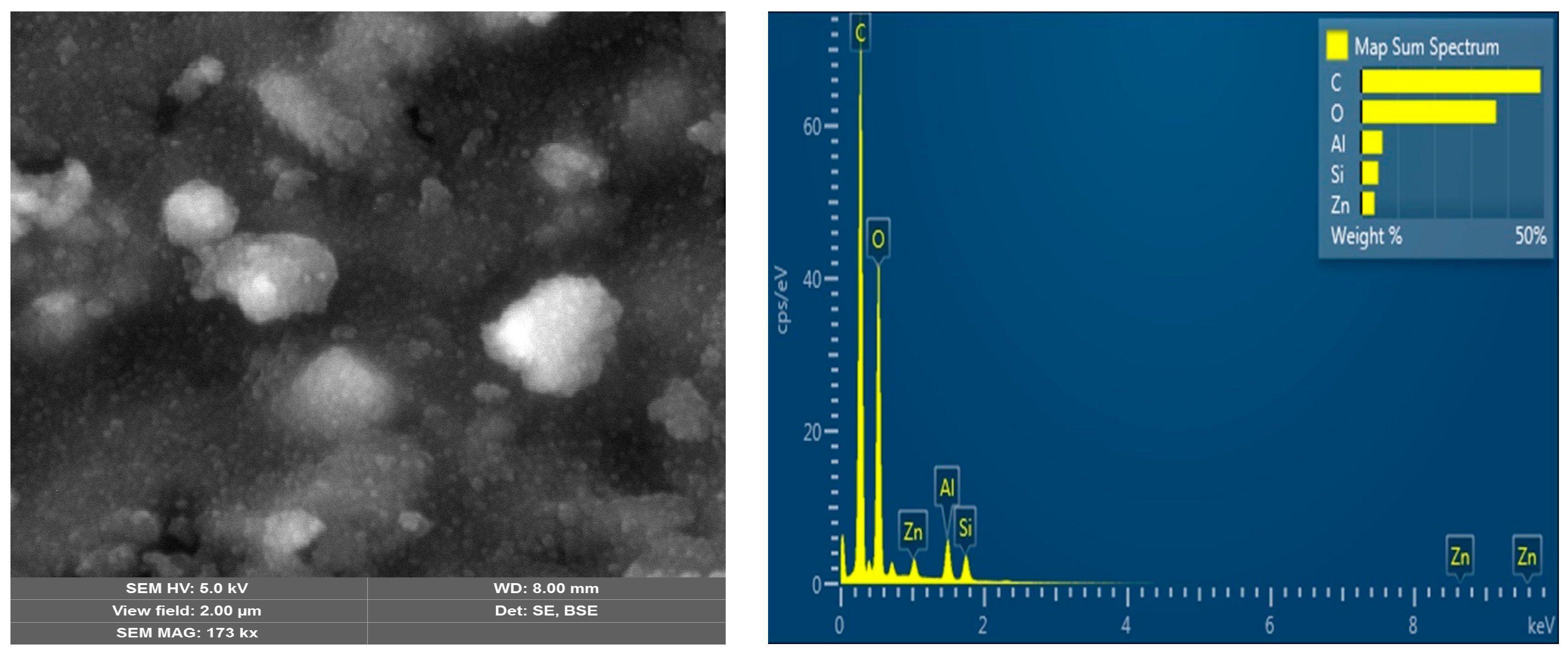Polymers 16 03545 g006