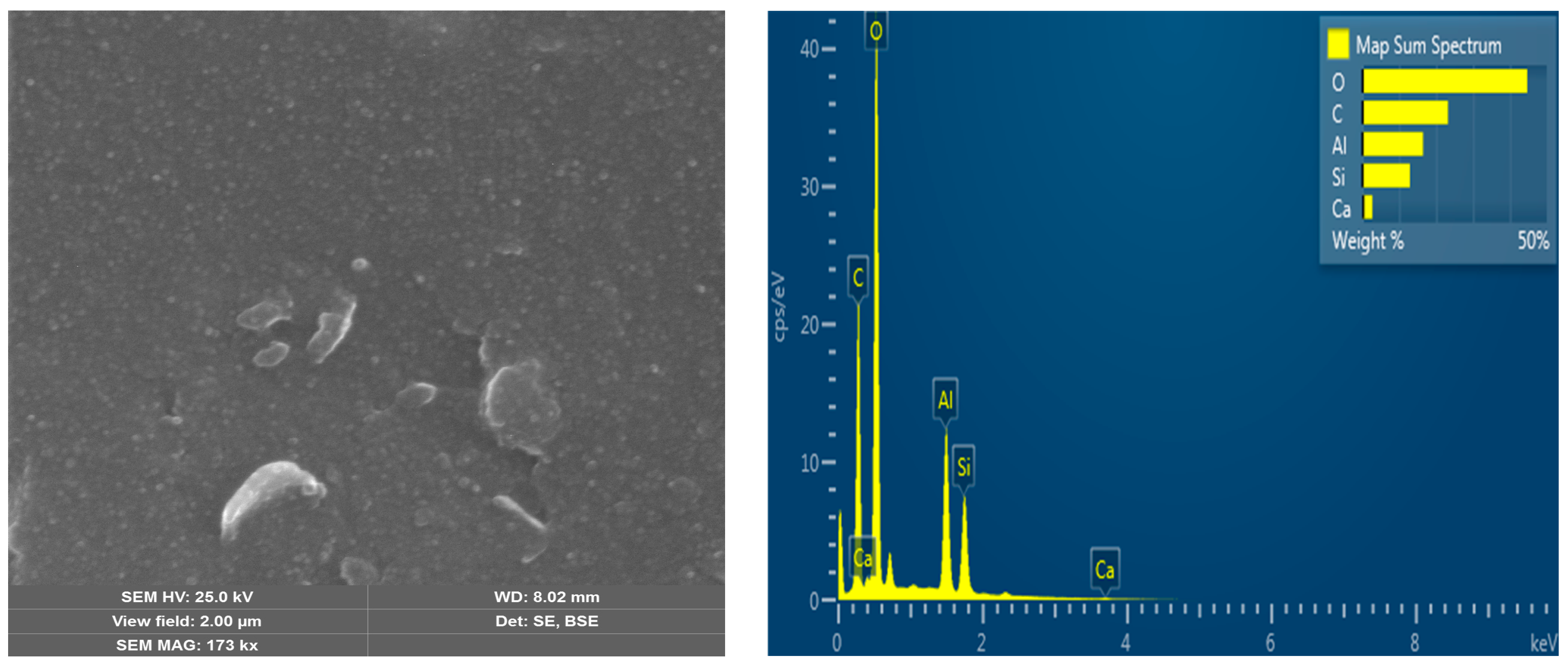 Polymers 16 03545 g007