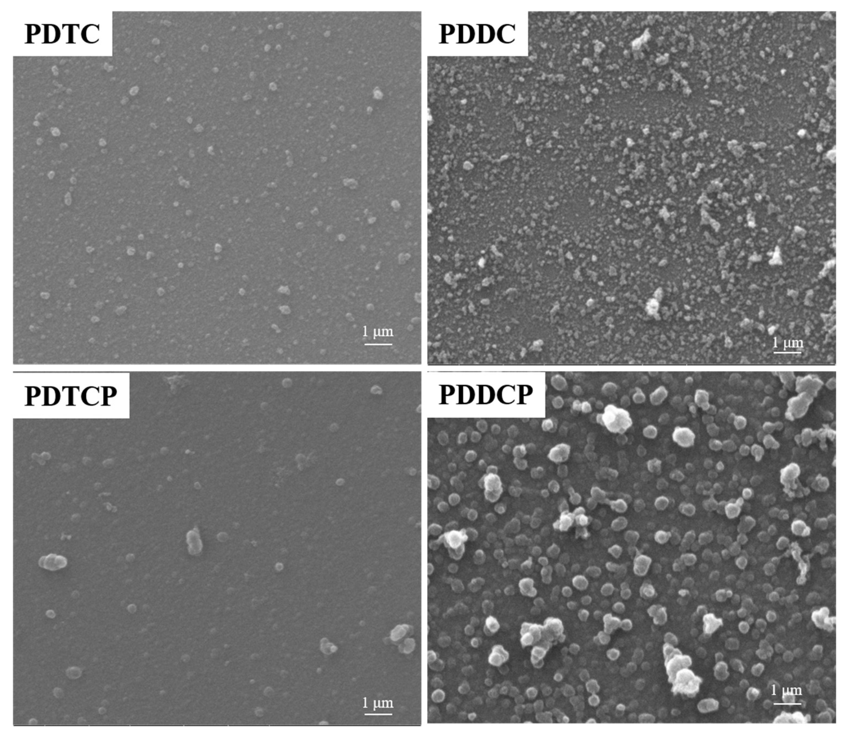 Polymers 16 03546 g004