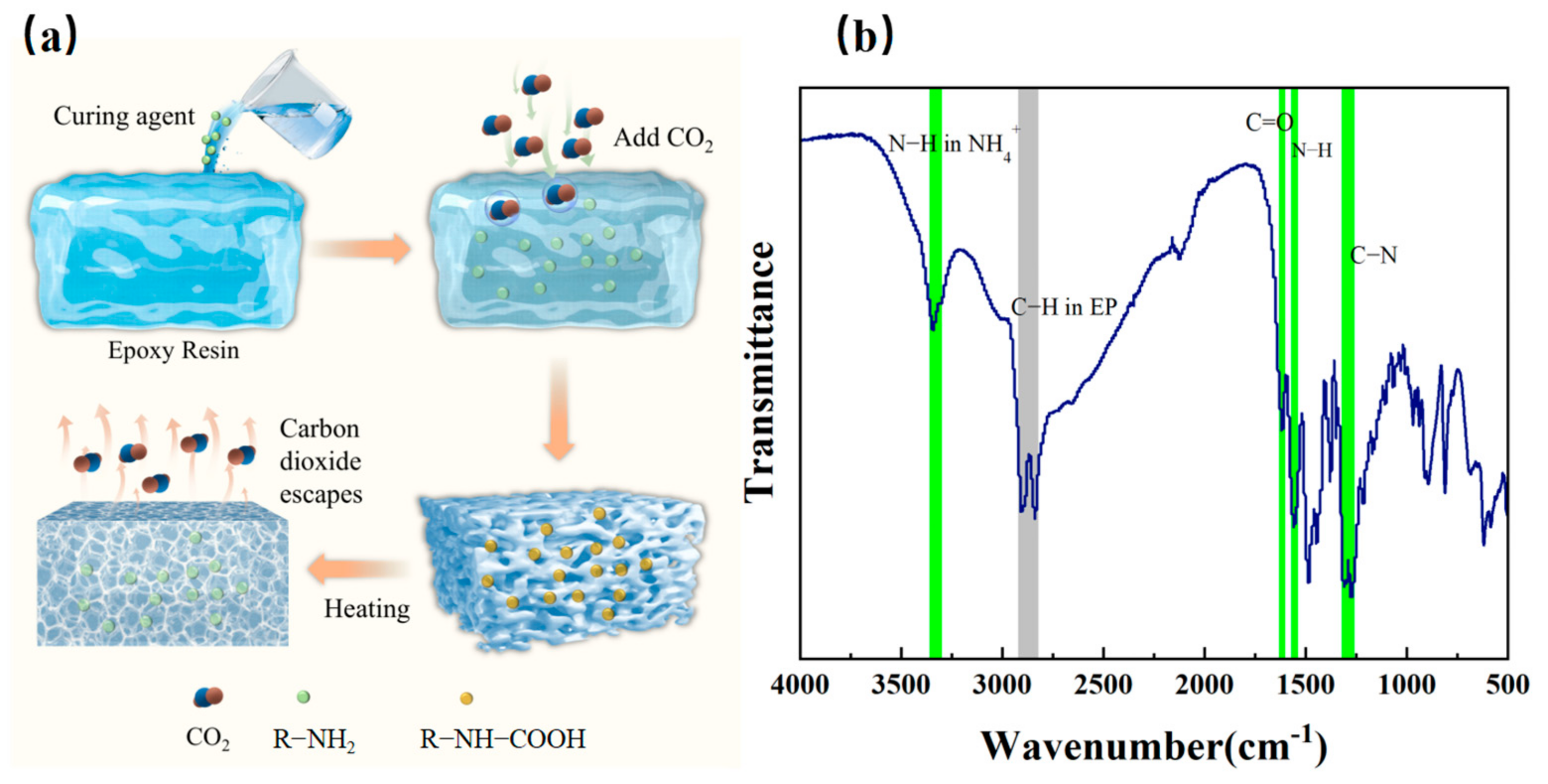 Polymers 16 03549 g004
