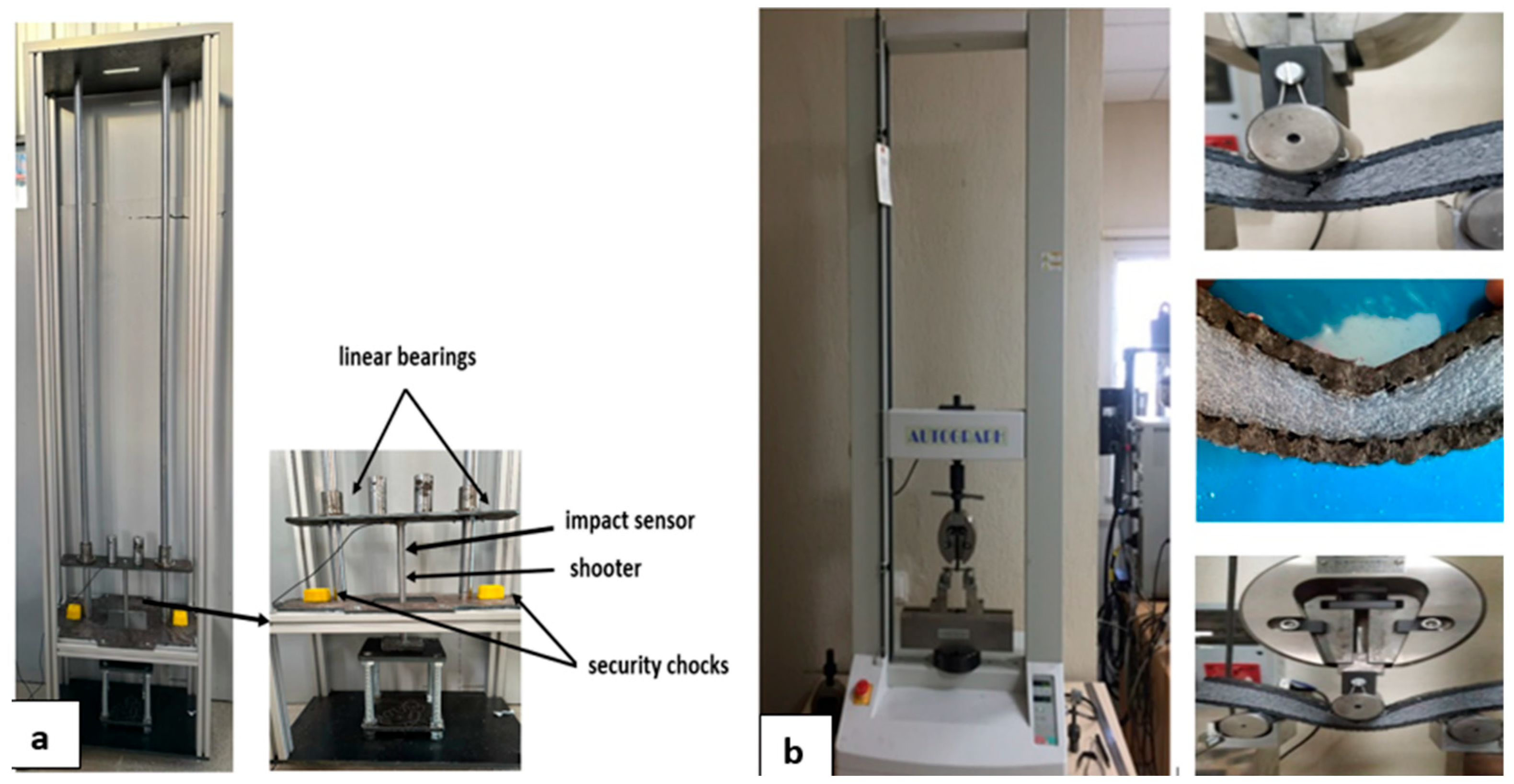 Polymers 16 03553 g003