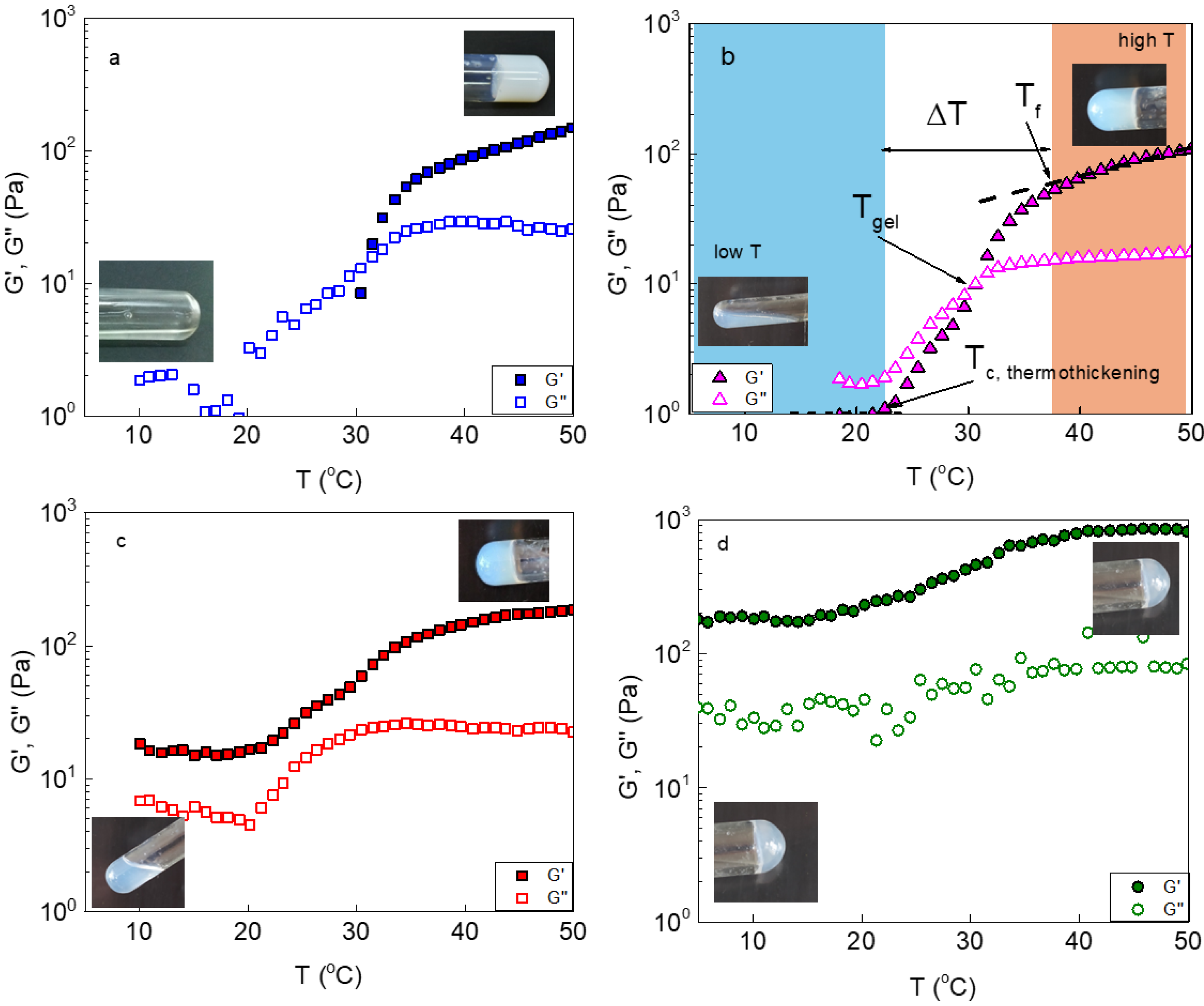 Polymers 16 03555 g001