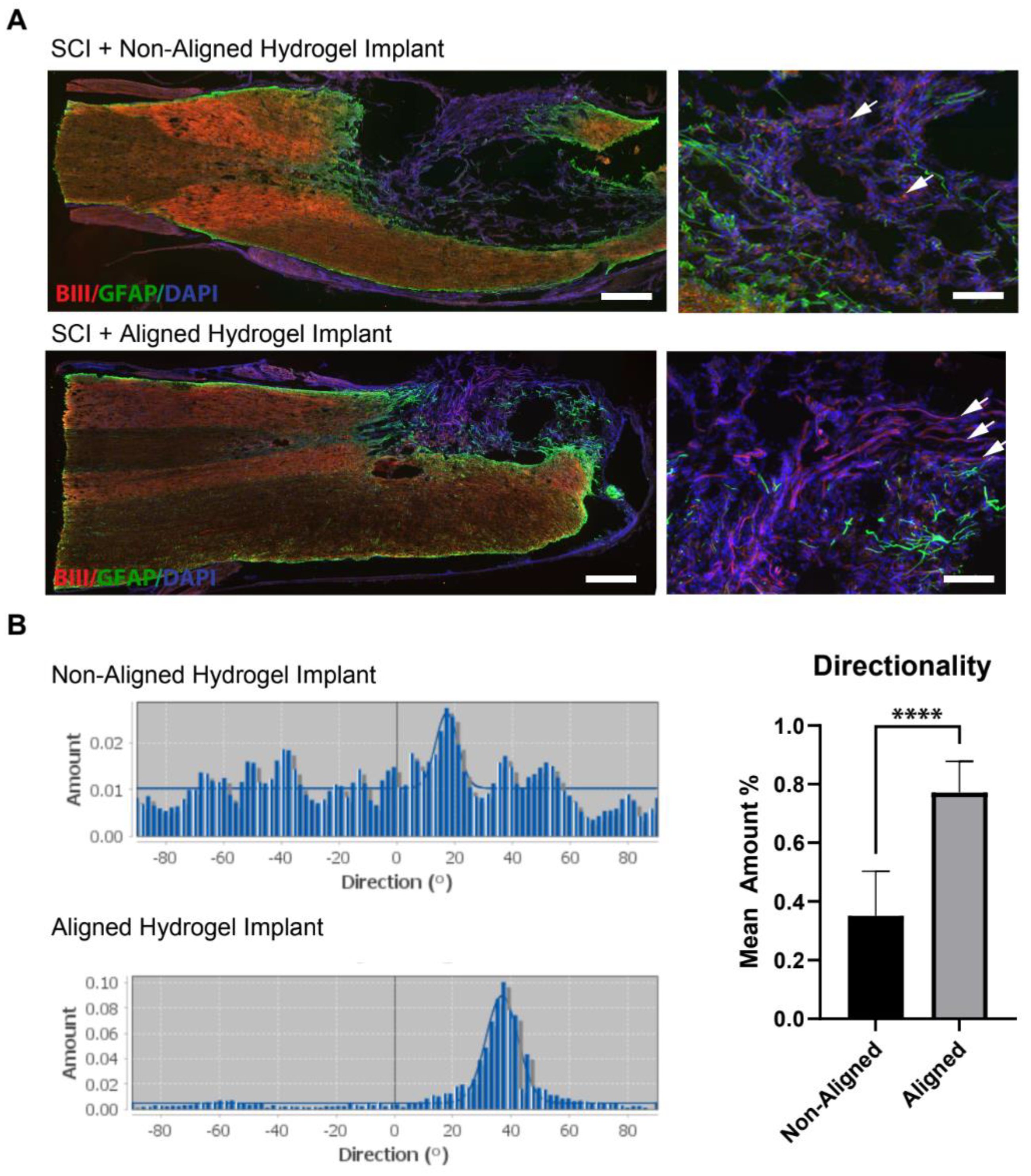 Polymers 16 03556 g006