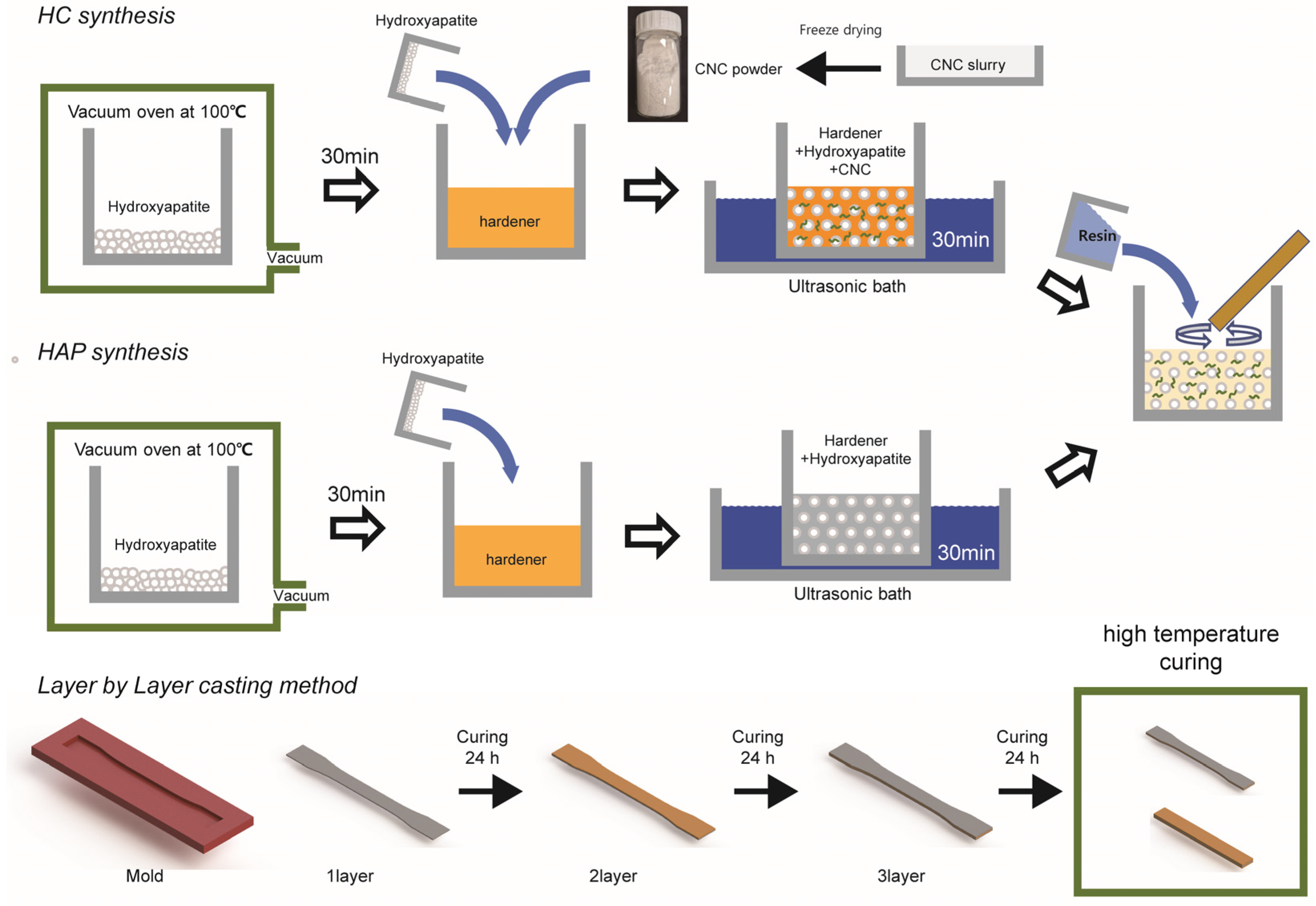 Polymers 16 03559 g001