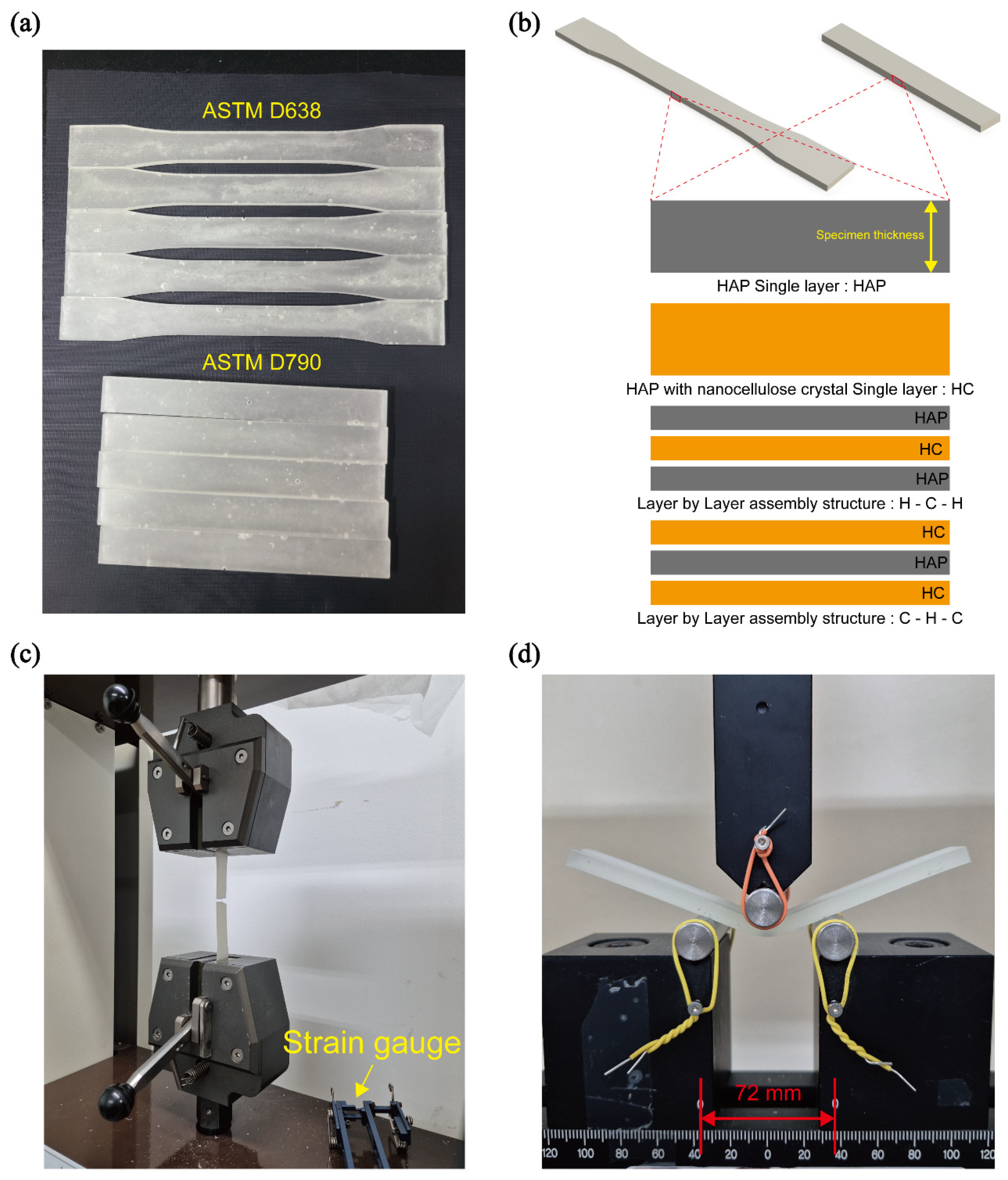 Polymers 16 03559 g002
