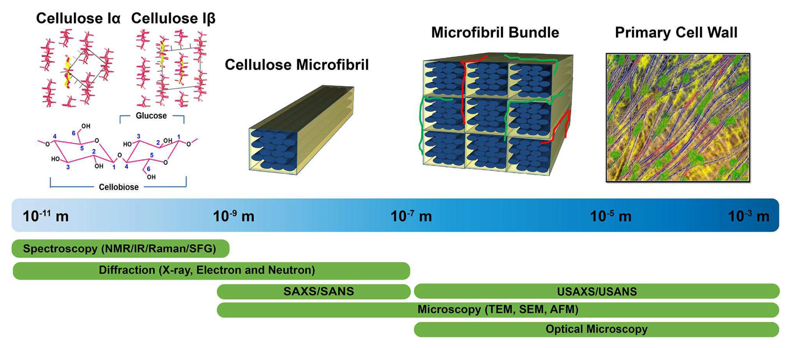 Polymers 16 03568 g003